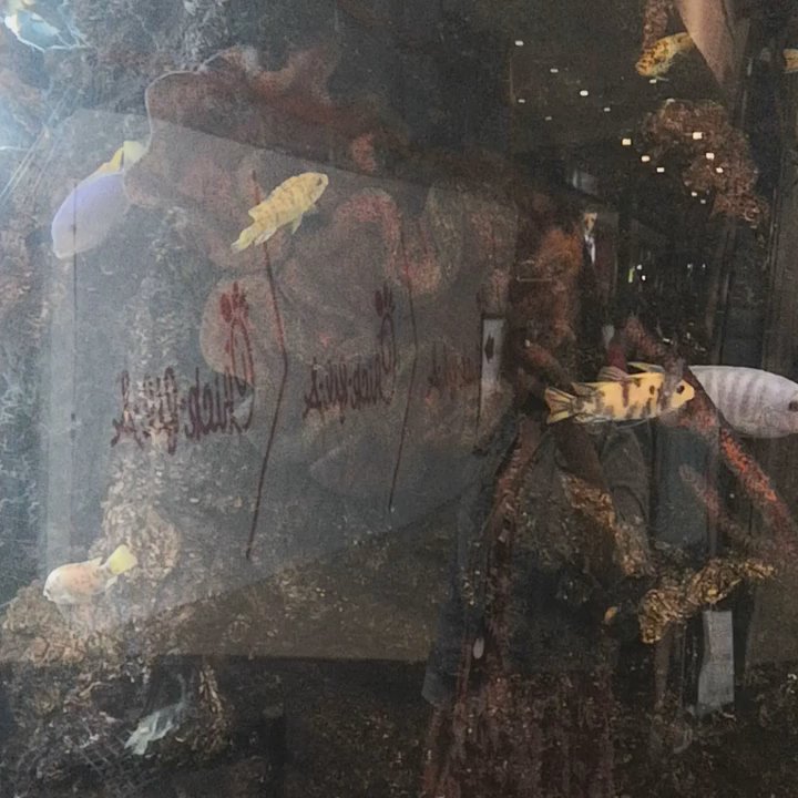 La Palmera - Followed the music and there was this cool guy. - Shopping Centers Near Me - Corpus Christi, Texas