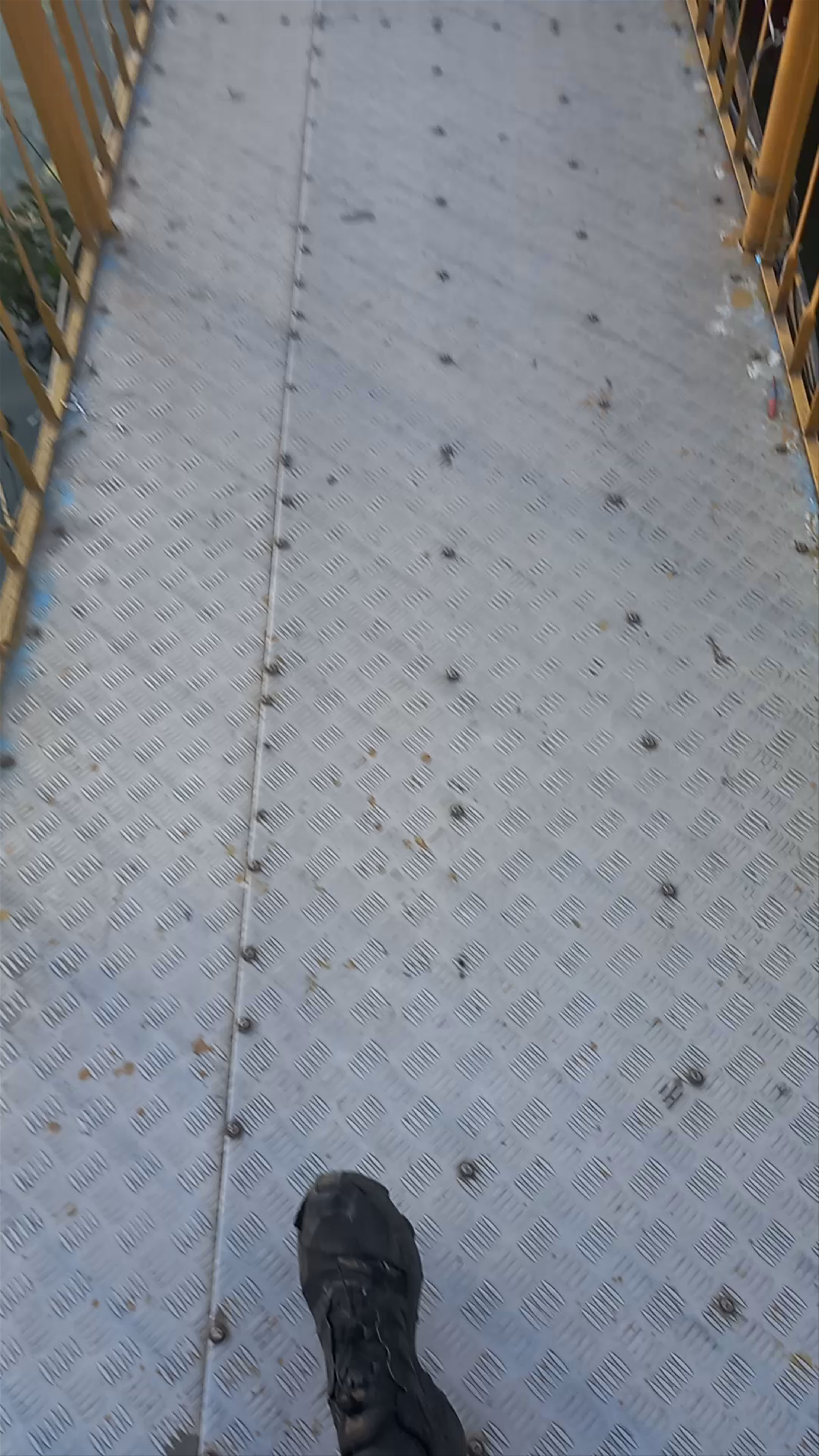 Phewa Lake View Point