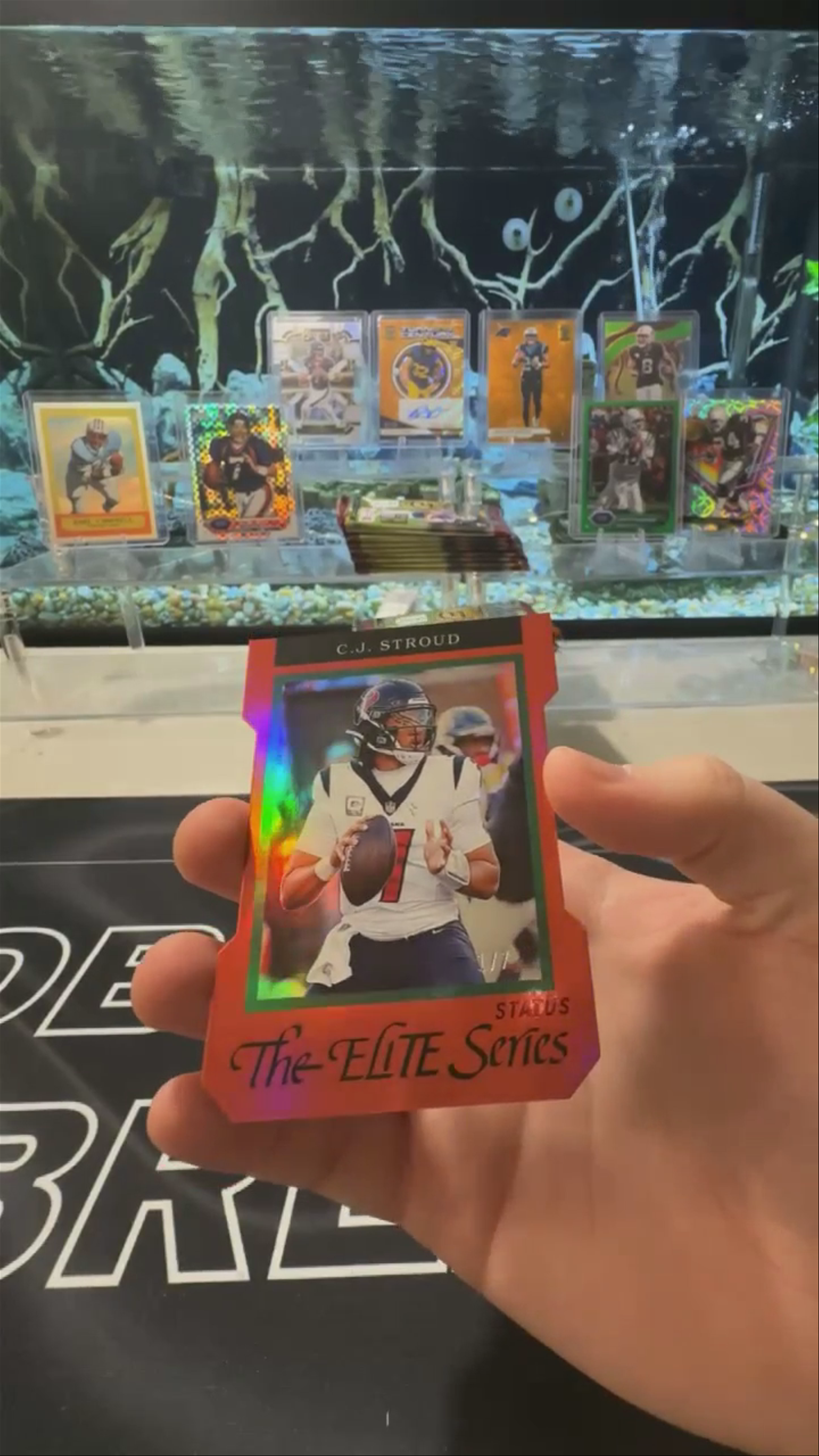 CJ /7 🔥🔥🔥