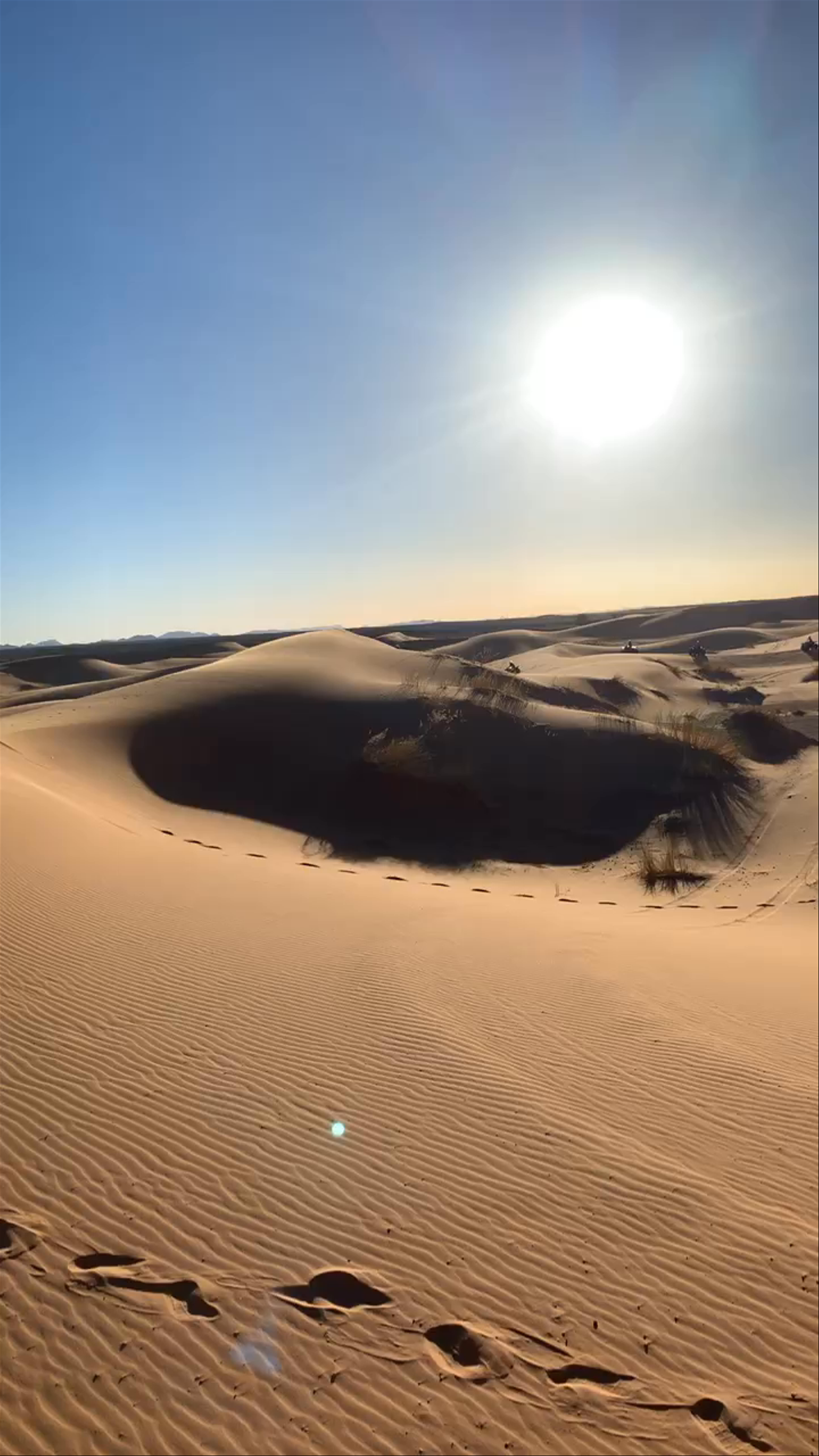 Sahara Desert