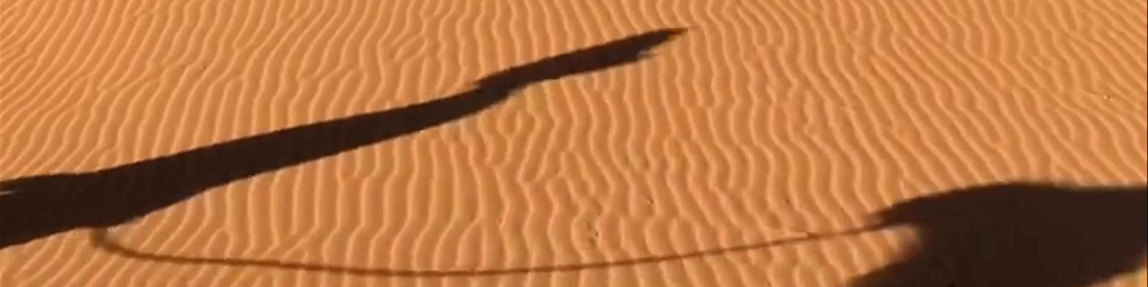 Sahara Desert