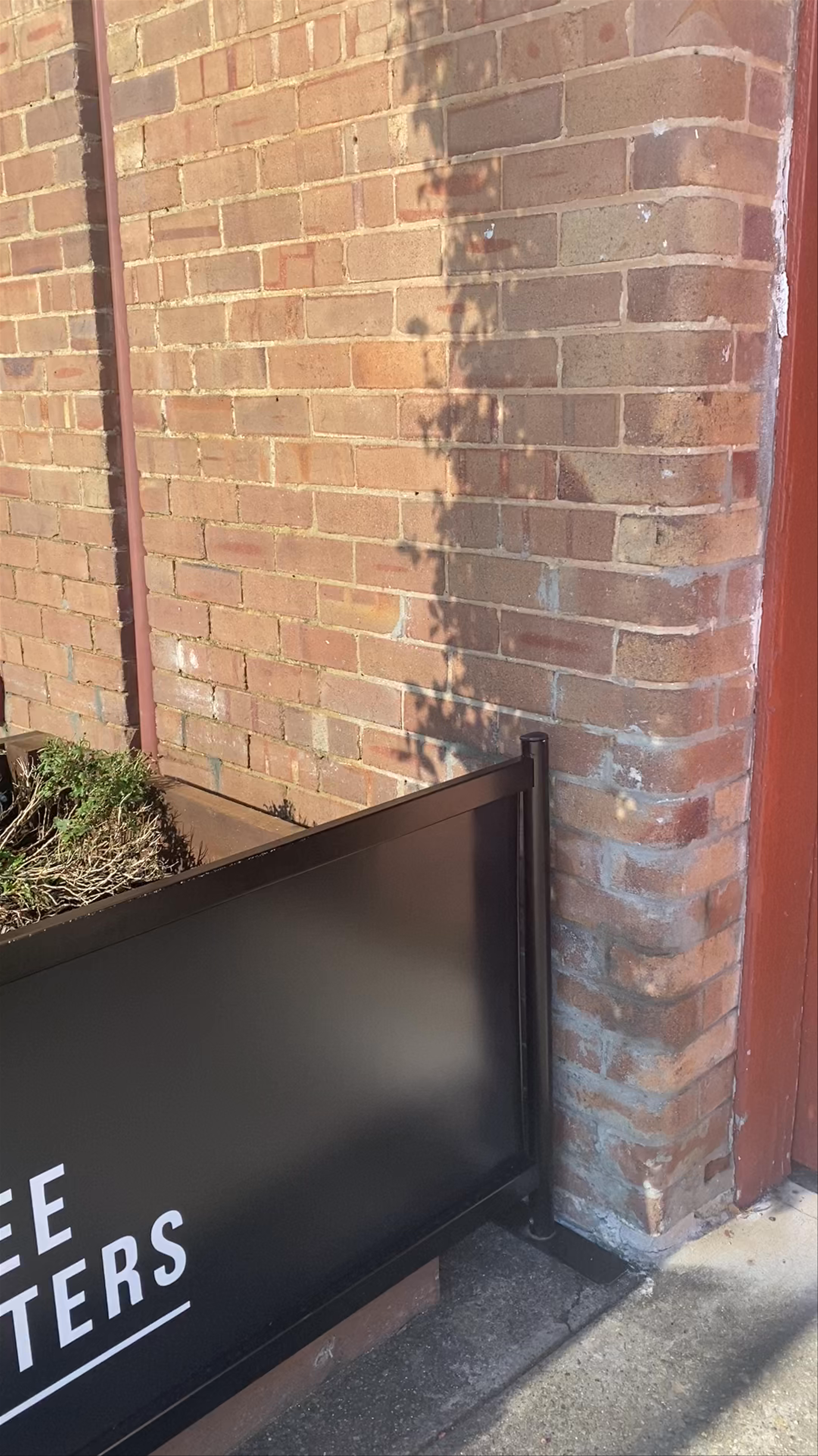 Glee Coffee Roasters Chapman