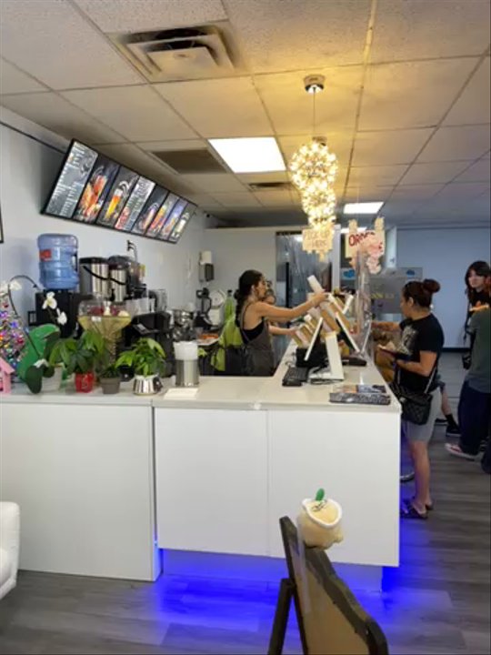 Starry Moon - Inside - Bubble Tea Near Me - Albuquerque, New Mexico