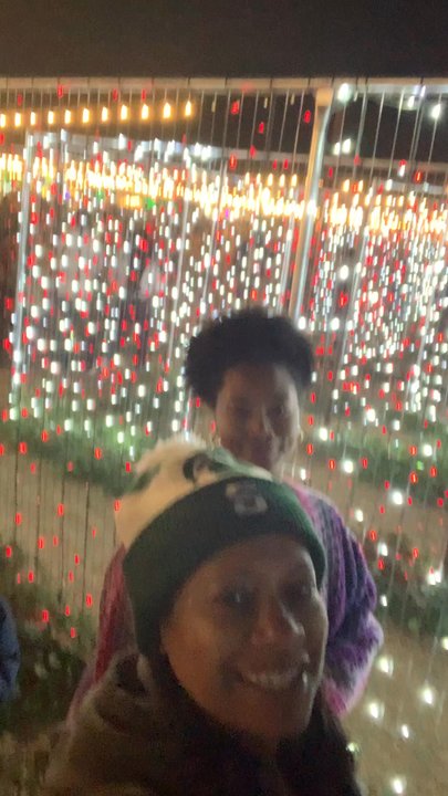 Desert Farm Lights - Fun at Desert Family Christmas in Surprise - Bounce House Rentals Near Me - Waddell, Arizona