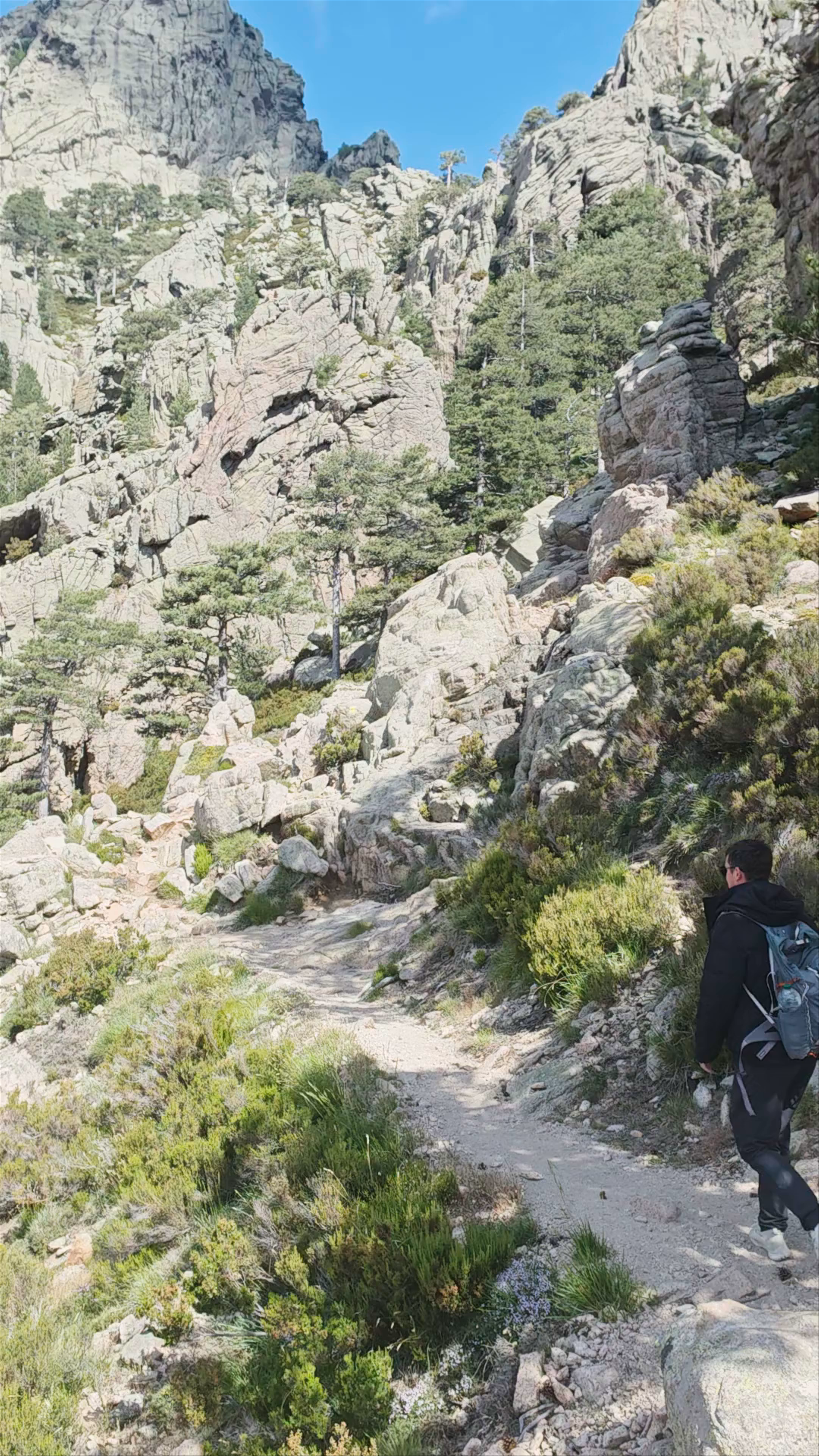 Aiguilles de Bavella - Forchi di Bavedda