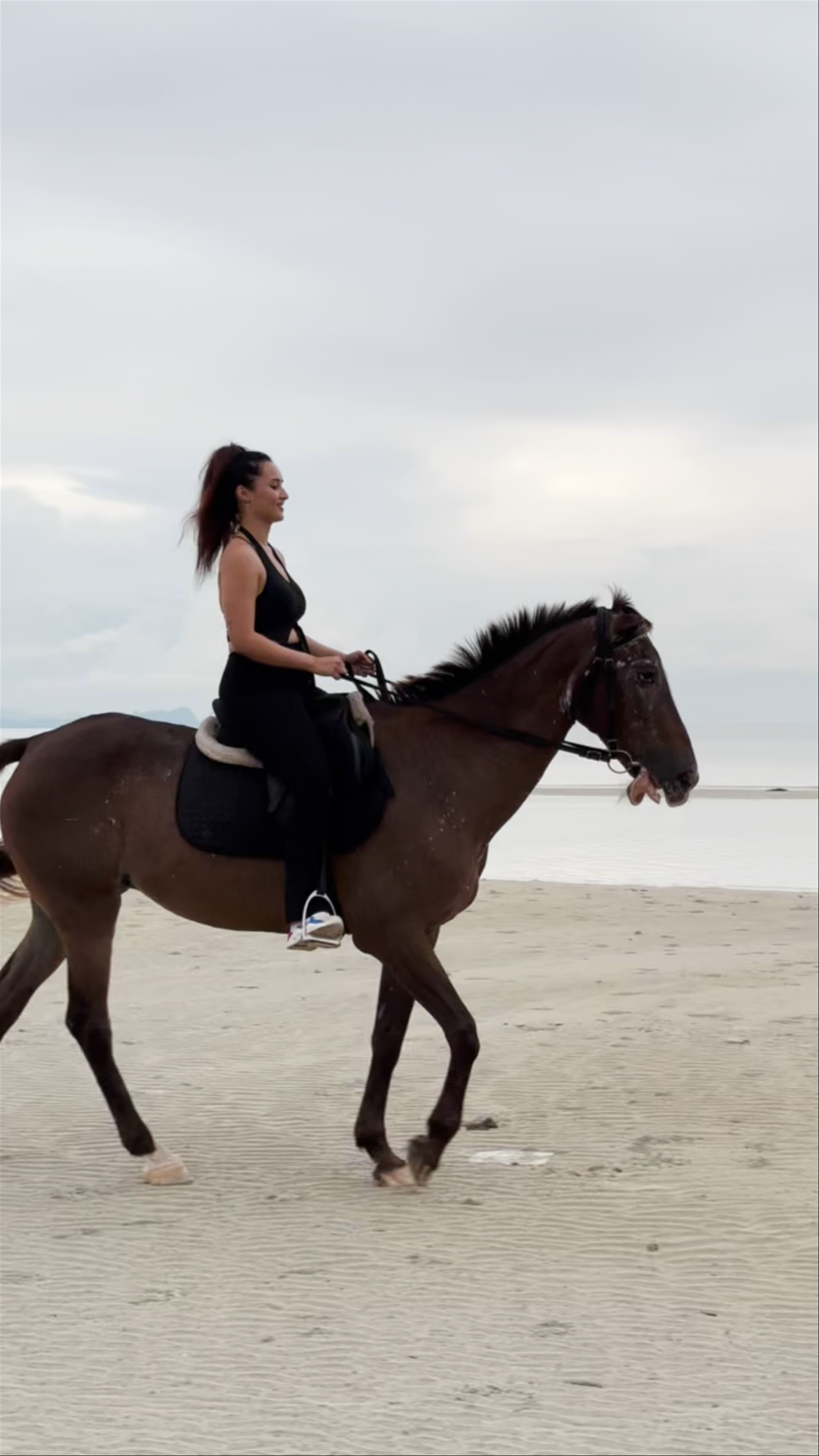 Horseback Riding on the Serene Beaches of Ko Samui