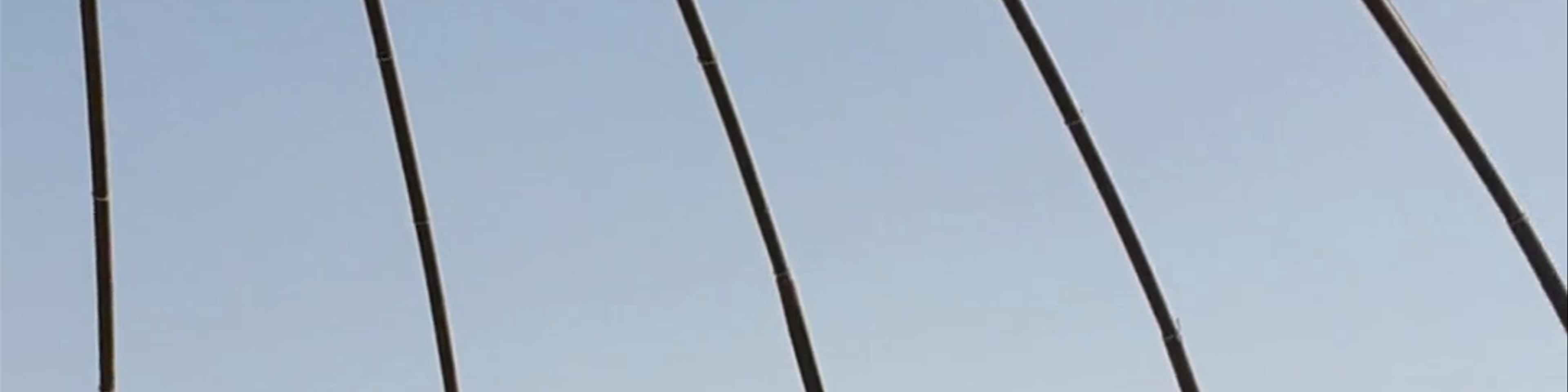 Uzbekistan
