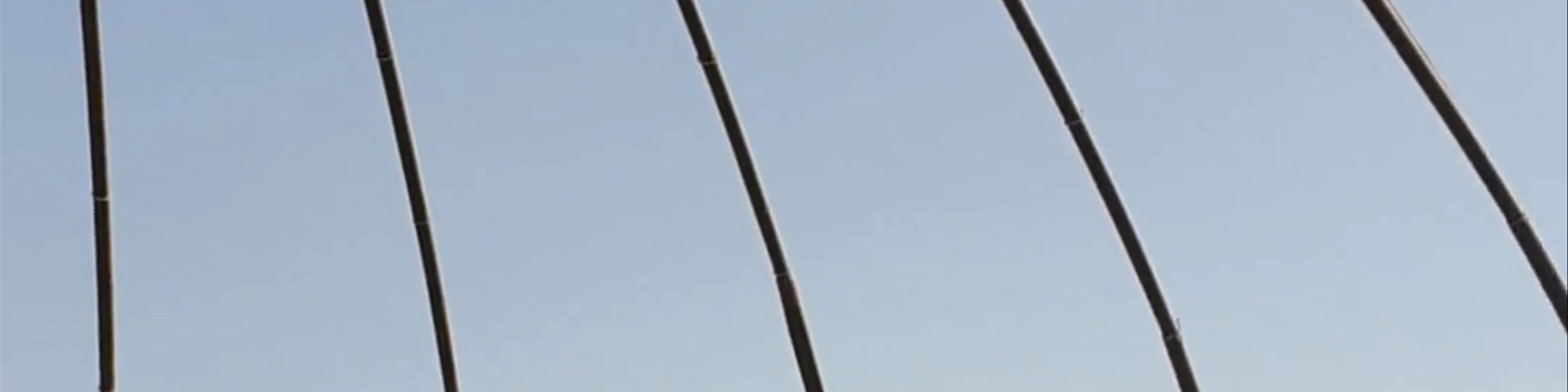 Bukhara Tower