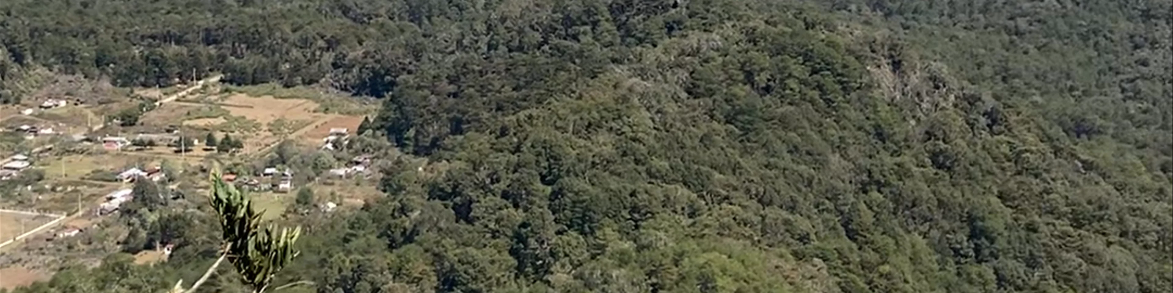 La Trinidad - Zona Ecoturistica