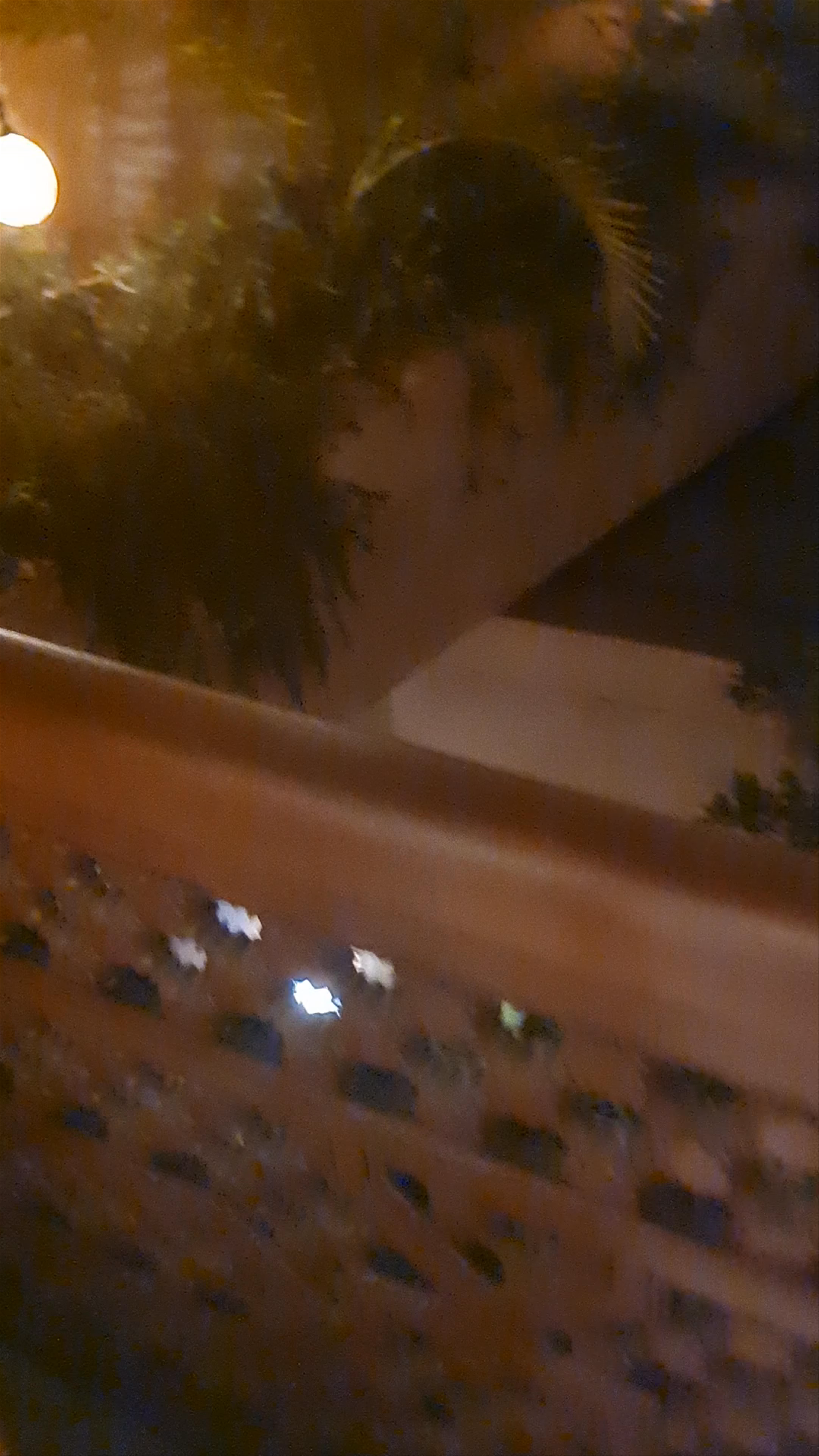 Hotel La Maison Arabe