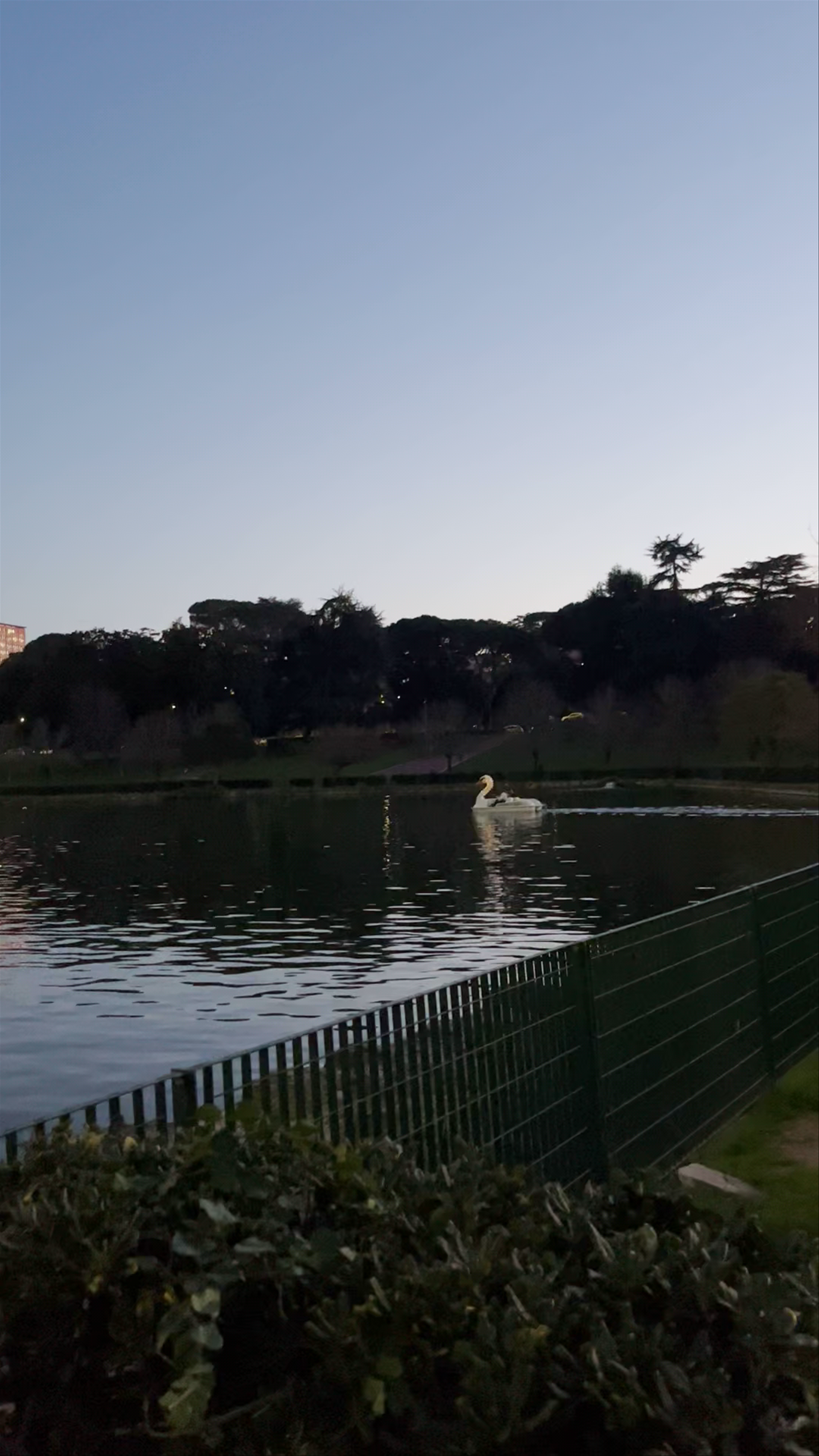 Evening Serenity at Parco del Lago dell'EUR, Rome