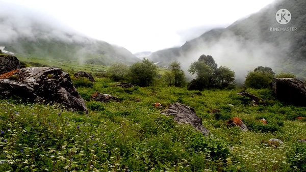 Photo of Glimpses of Valley o