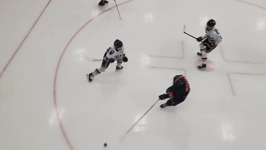 Dylan Paranich: Elite Highlights from Flyers 13UAAA