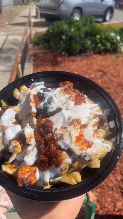Tasty Shawarma - Chicken fries bowl with spicy - Food Trucks Near Me