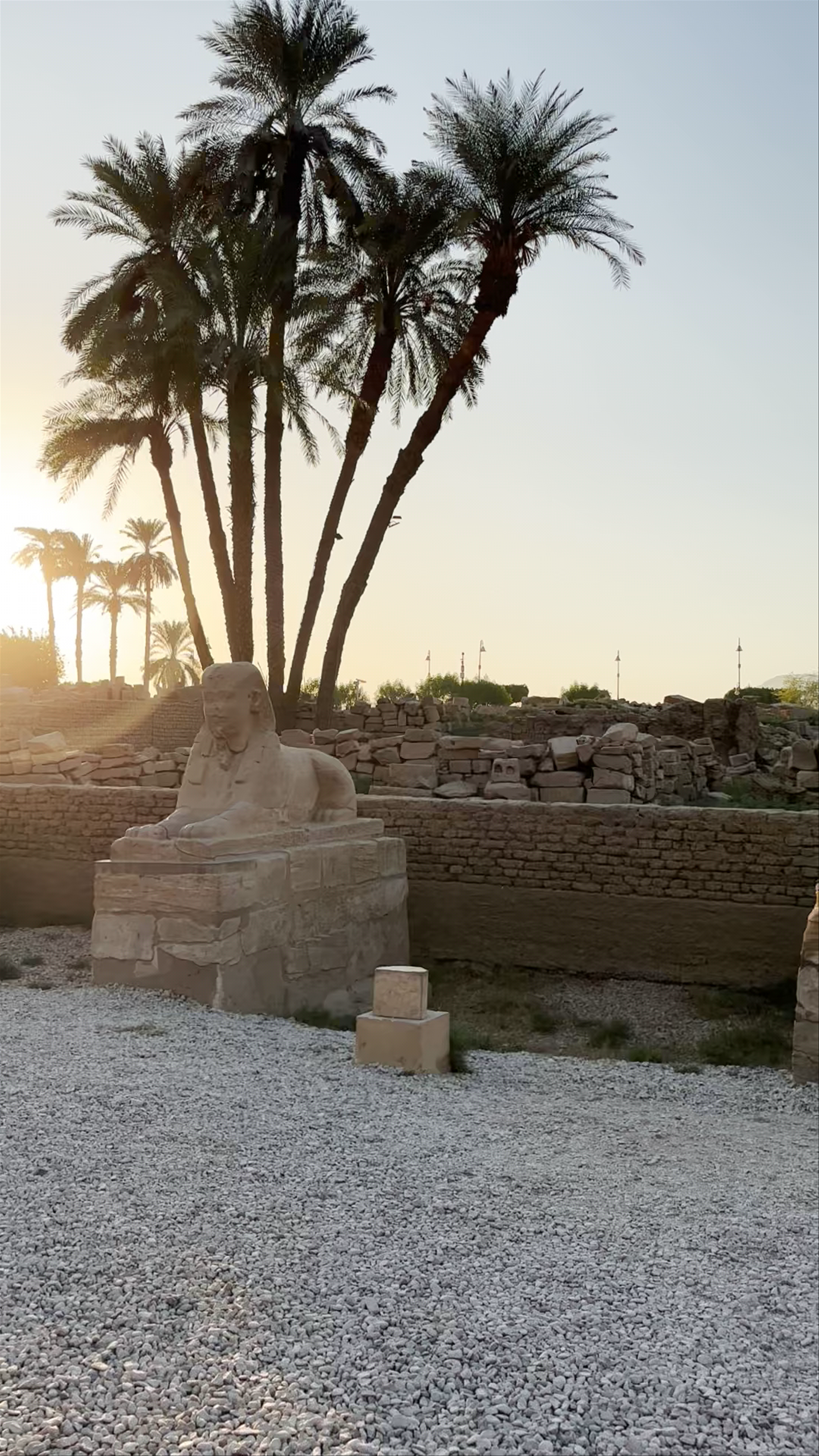 Golden Hour at Avenue of Sphinxes, Luxor City