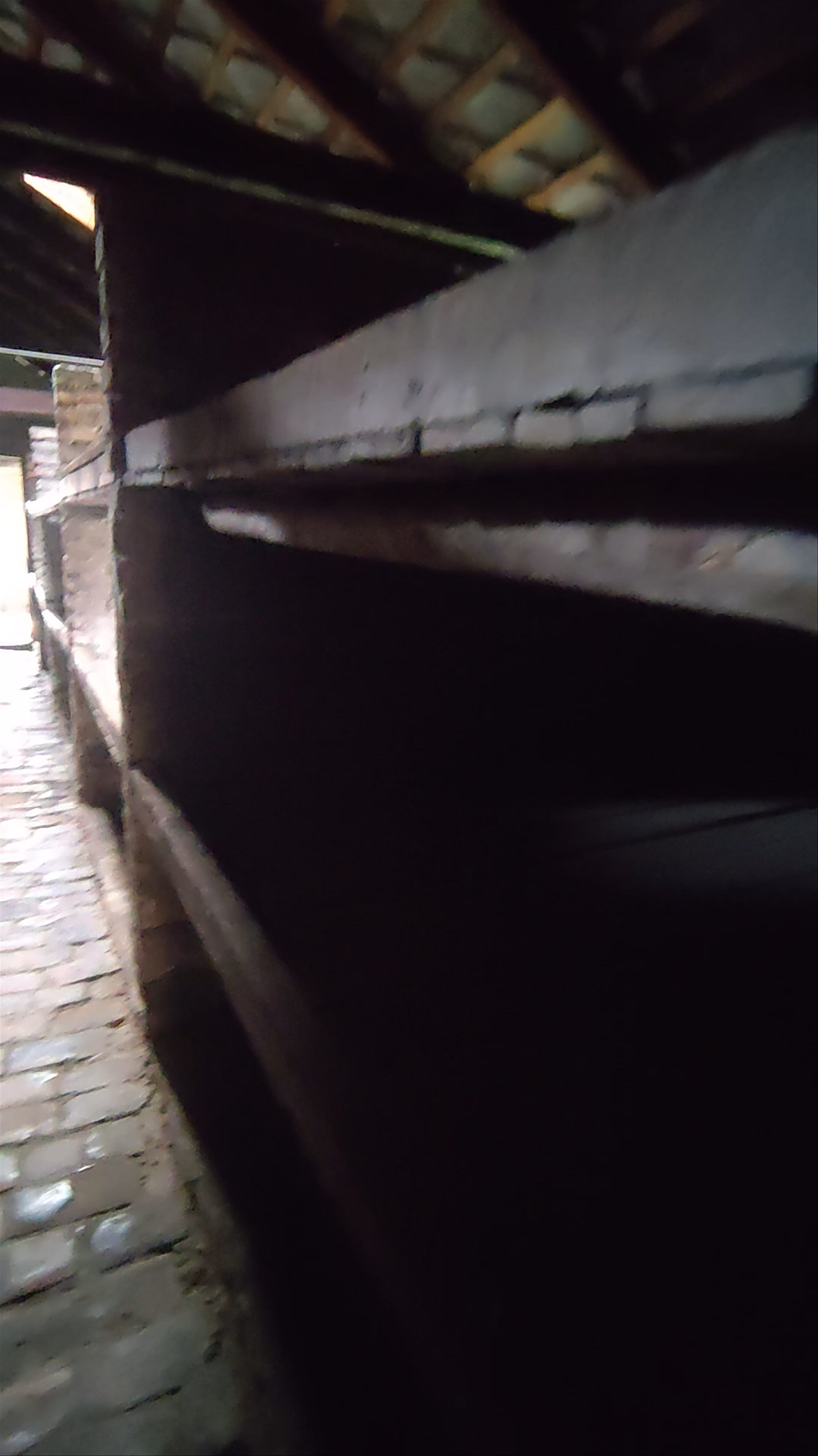 Birkenau