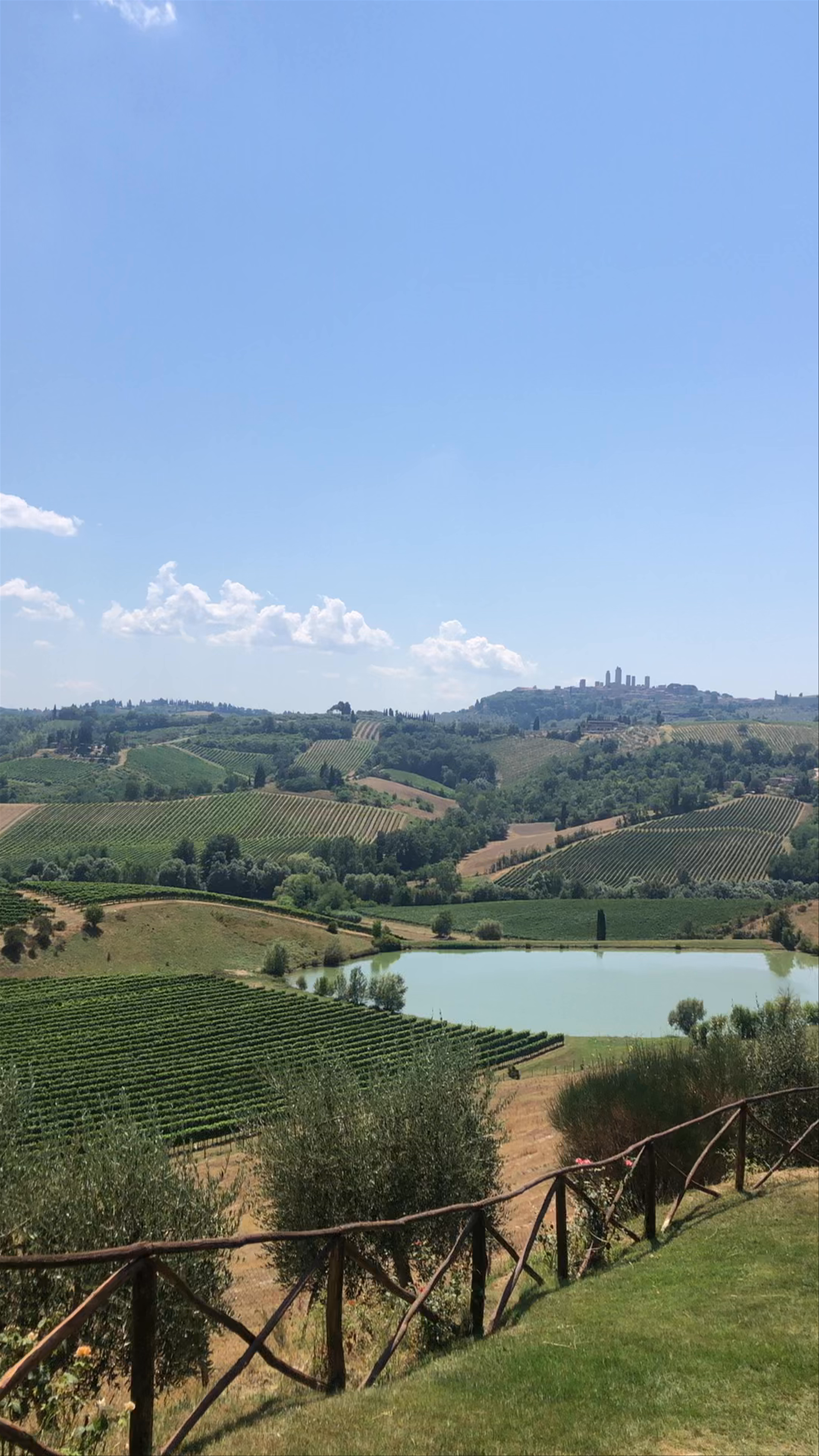Sun-soaked Vineyard Escape near San Gimignano, Italy