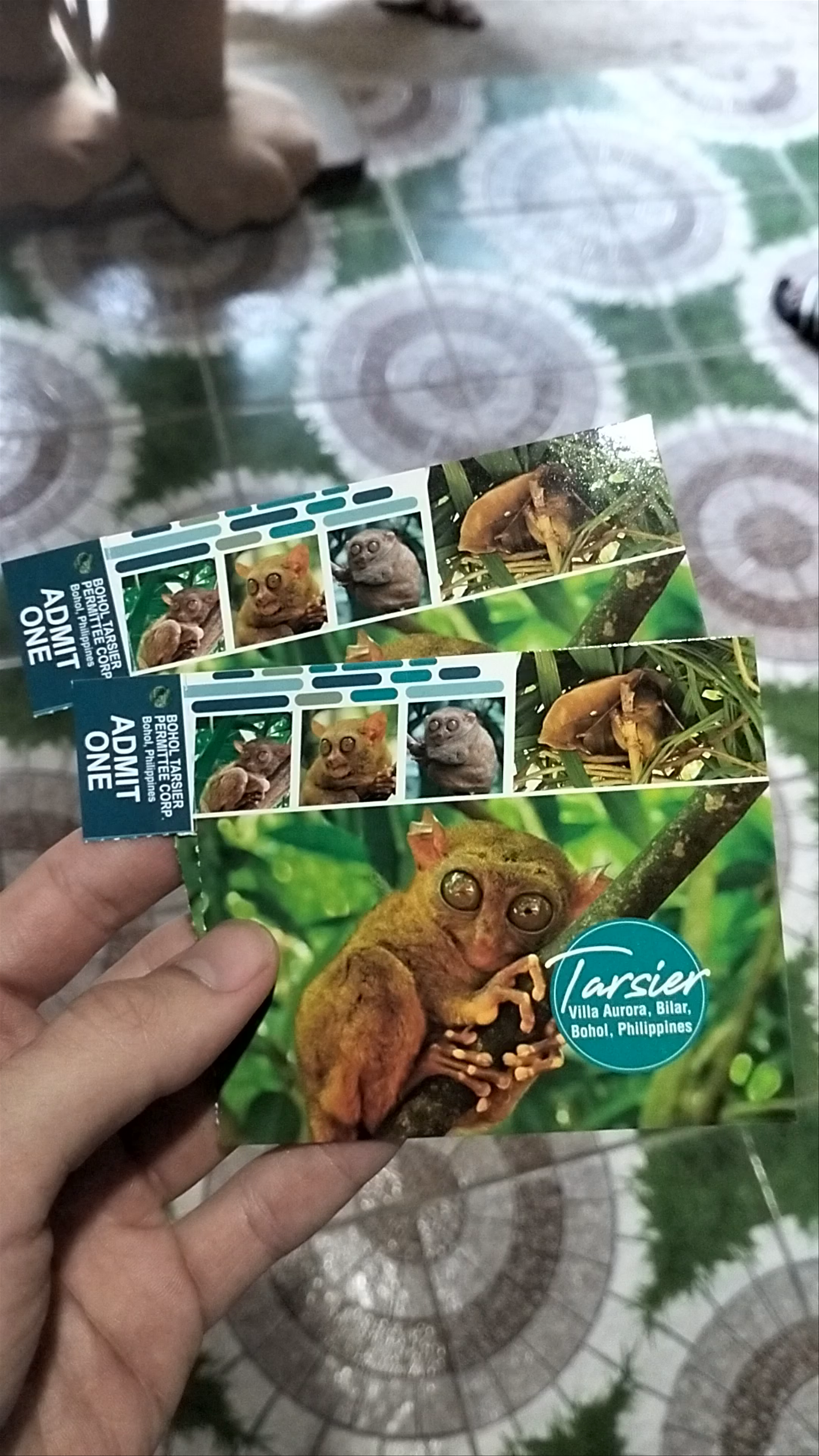 Bohol Tarsier Conservation Area