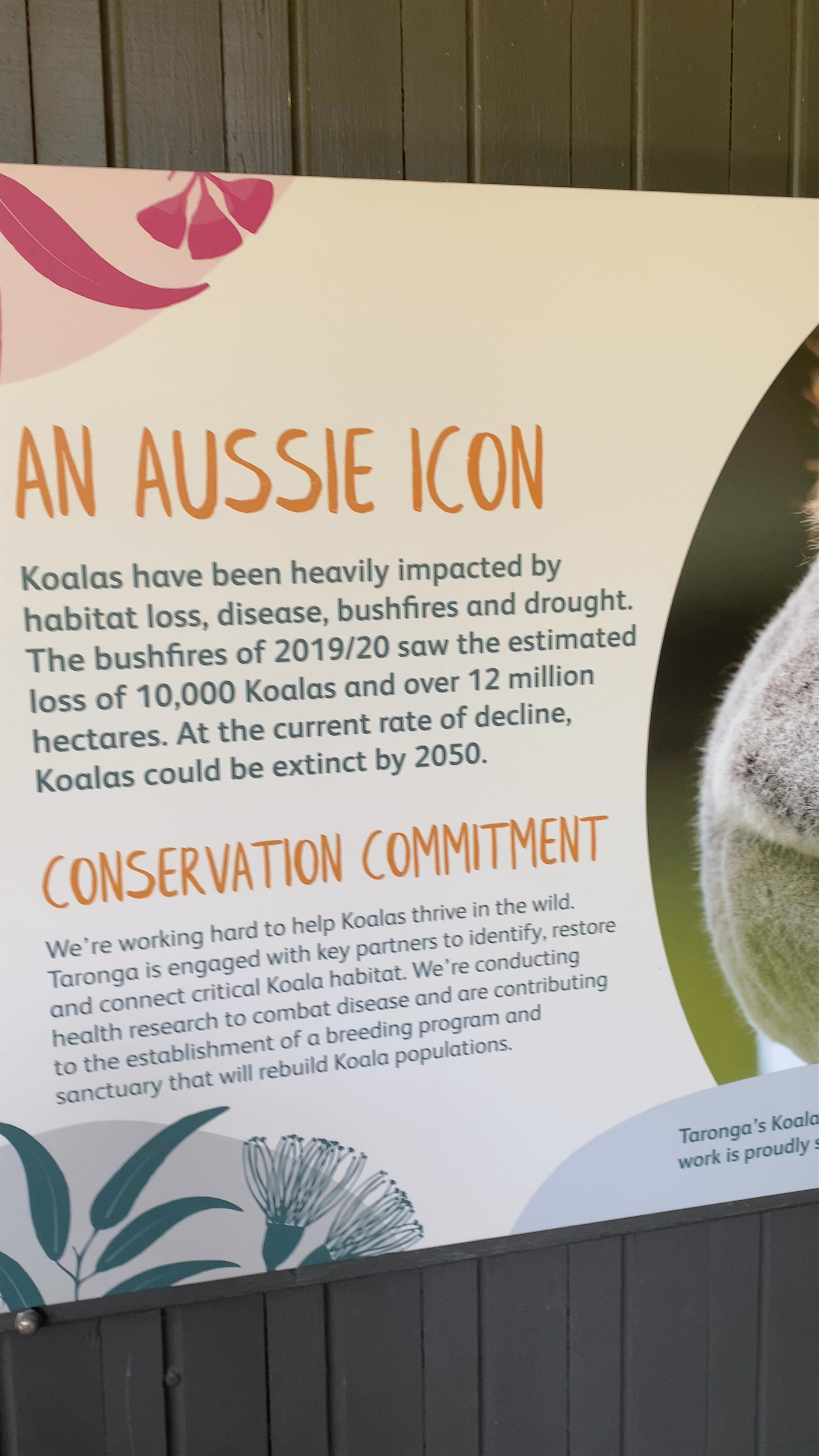 Taronga Zoo Sydney