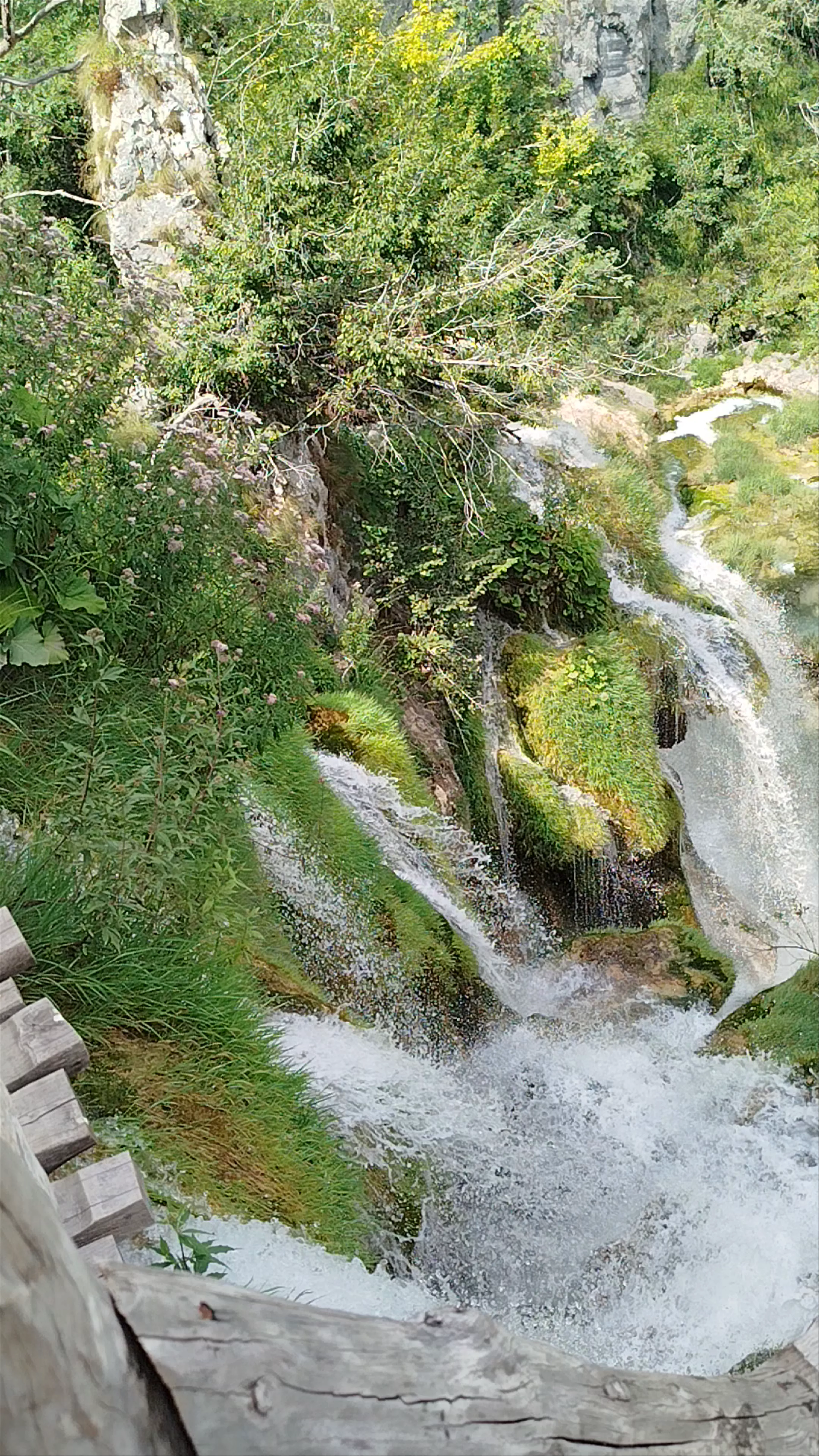 Novakovića Brod, Rastovača