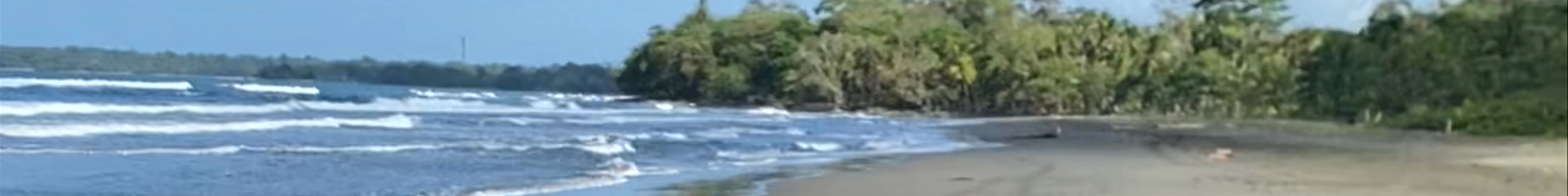Tours & experiences in Limón