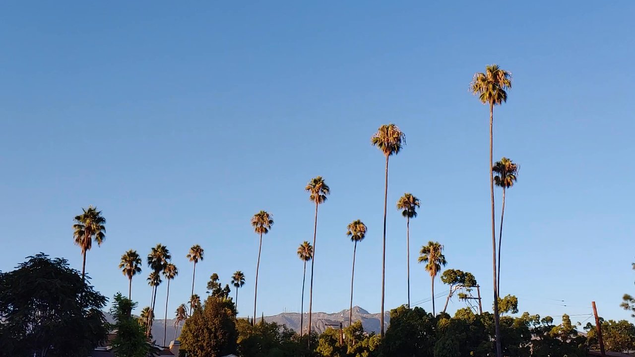 Teddy's Cocina - View from parking lot & rear entrance - Tacos Near Me - Pasadena, California