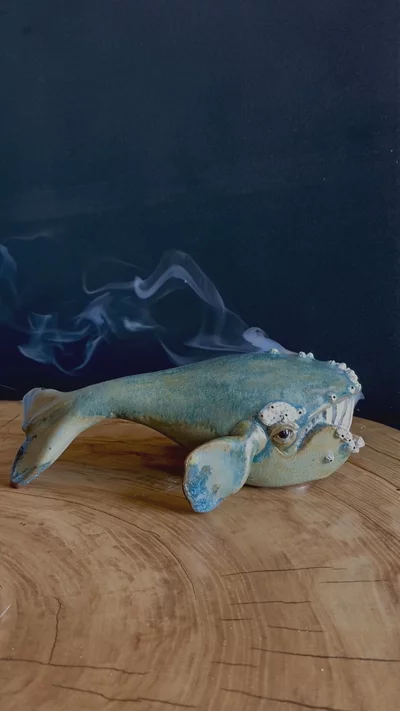 Preview image for video