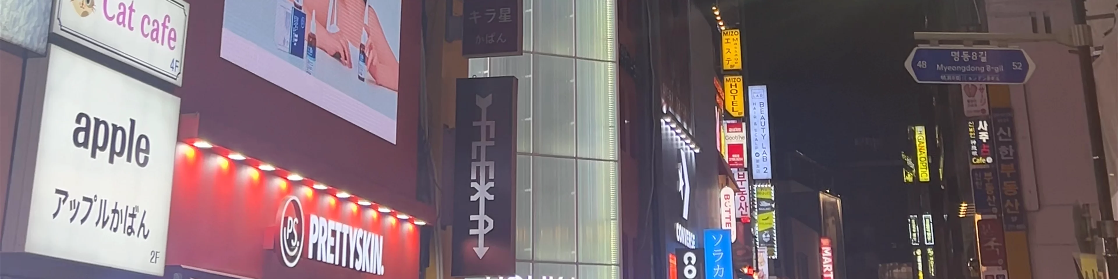 Myeongdong Night Market