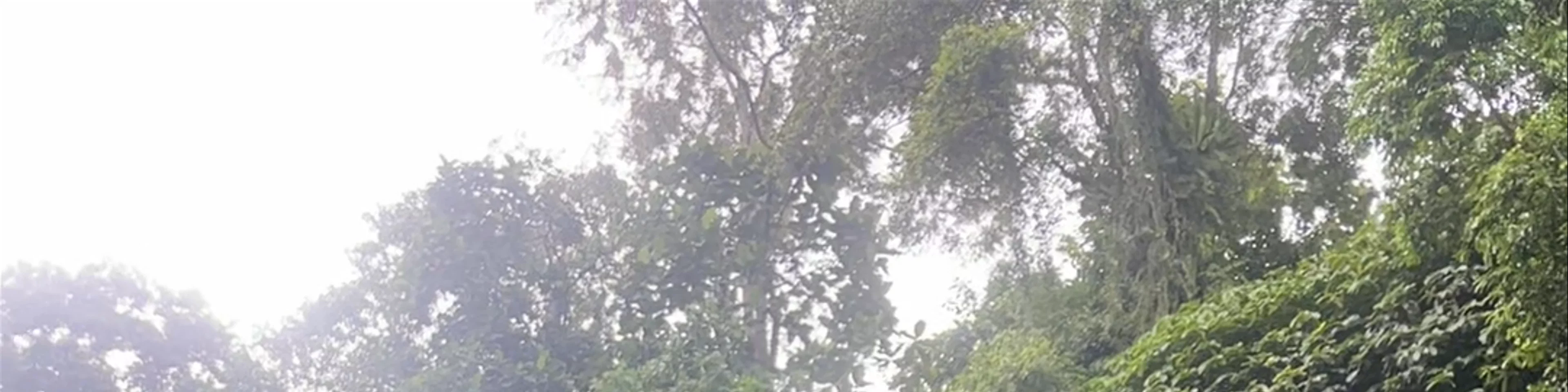 Benang Stokel and Benang Kelambu Waterfall