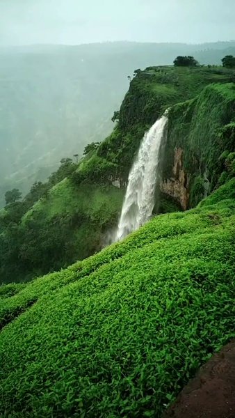 Photo of Wonderfull lingmala 