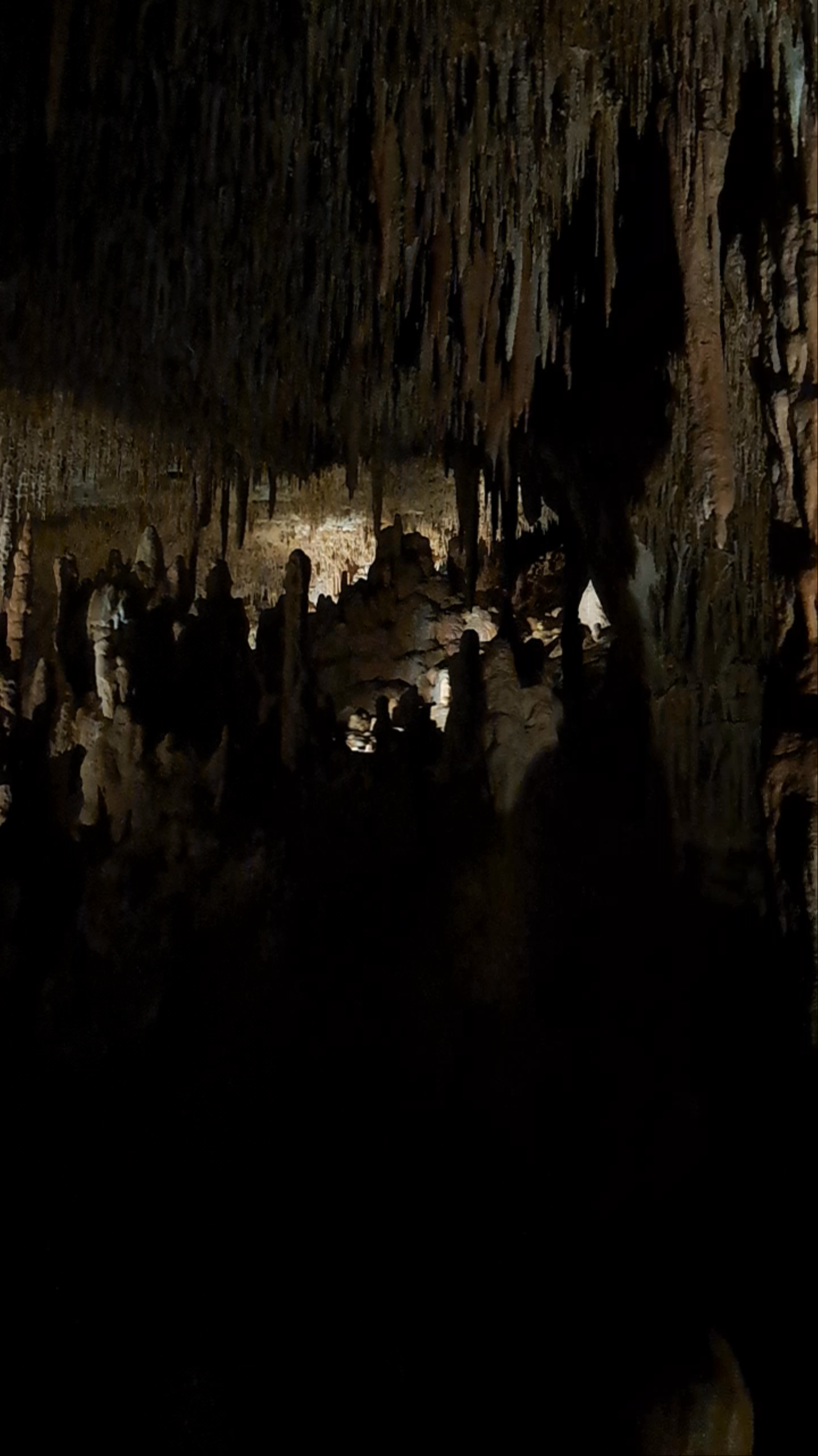 Petralona Cave