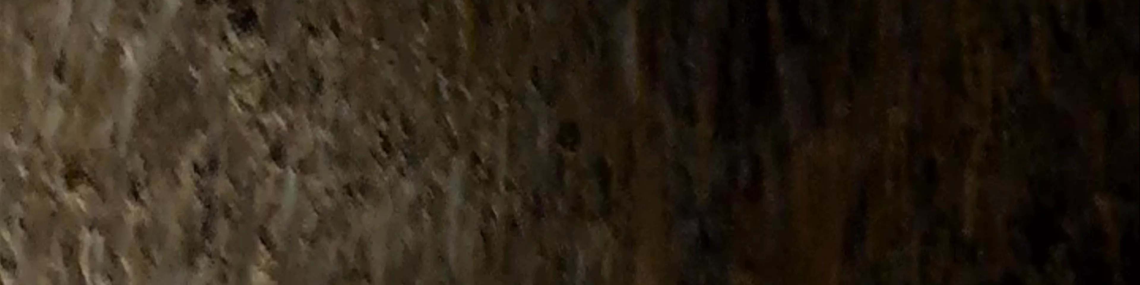 Petralona Cave