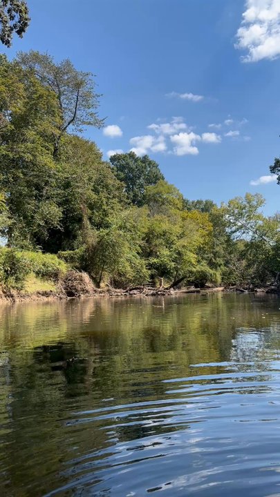 Tar River Life - Super relaxing vibes - Campgrounds Near Me - Bunn, North Carolina