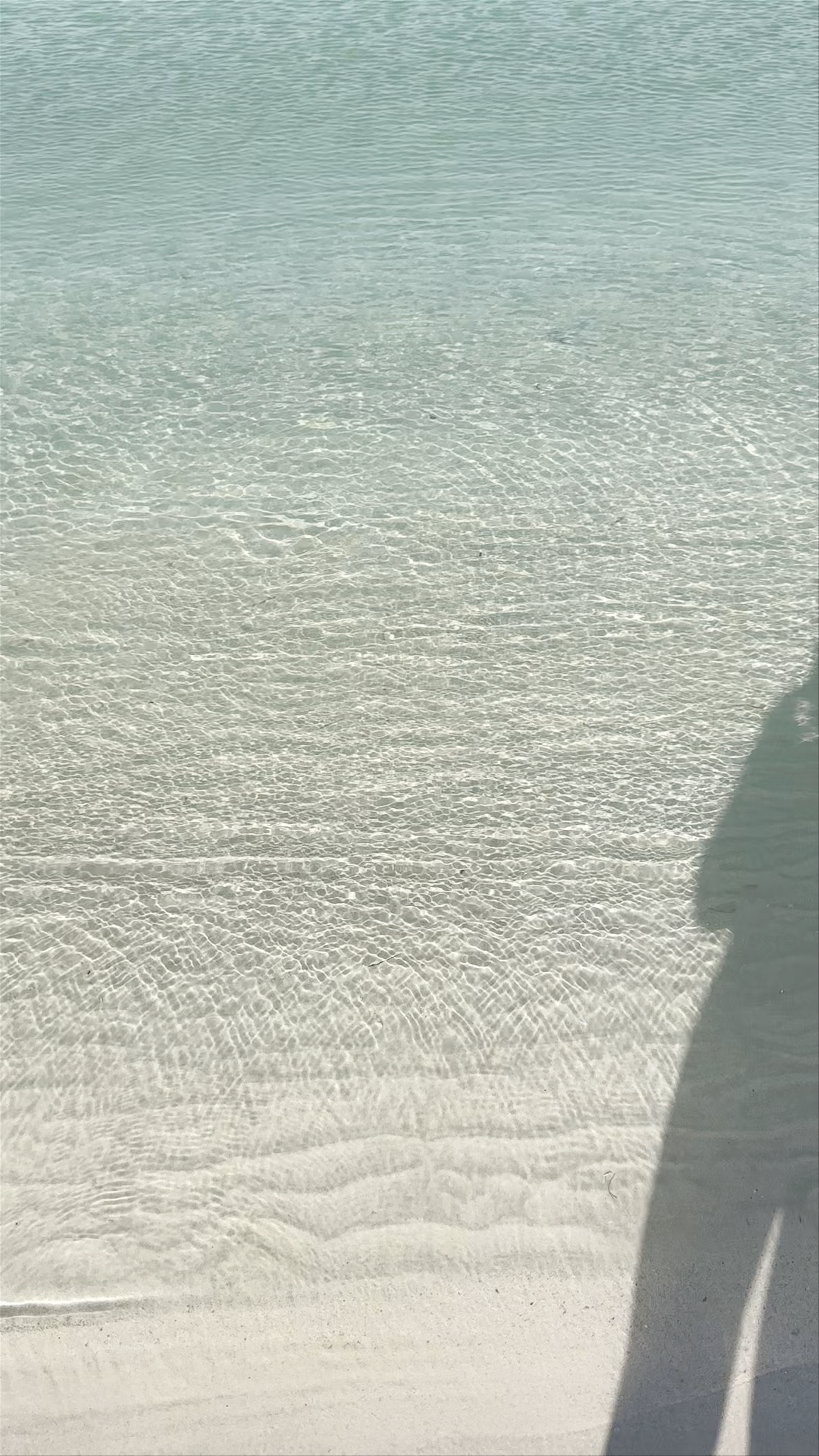 Secret Beach Dubai: A Hidden Urban Oasis