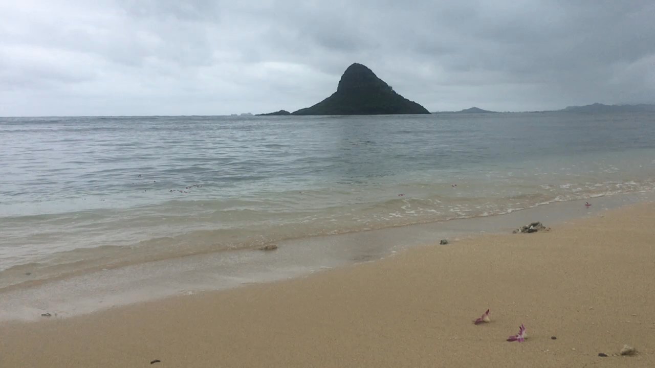 Kualoa A Campground - Campgrounds Near Me - Kaneohe, Hawaii