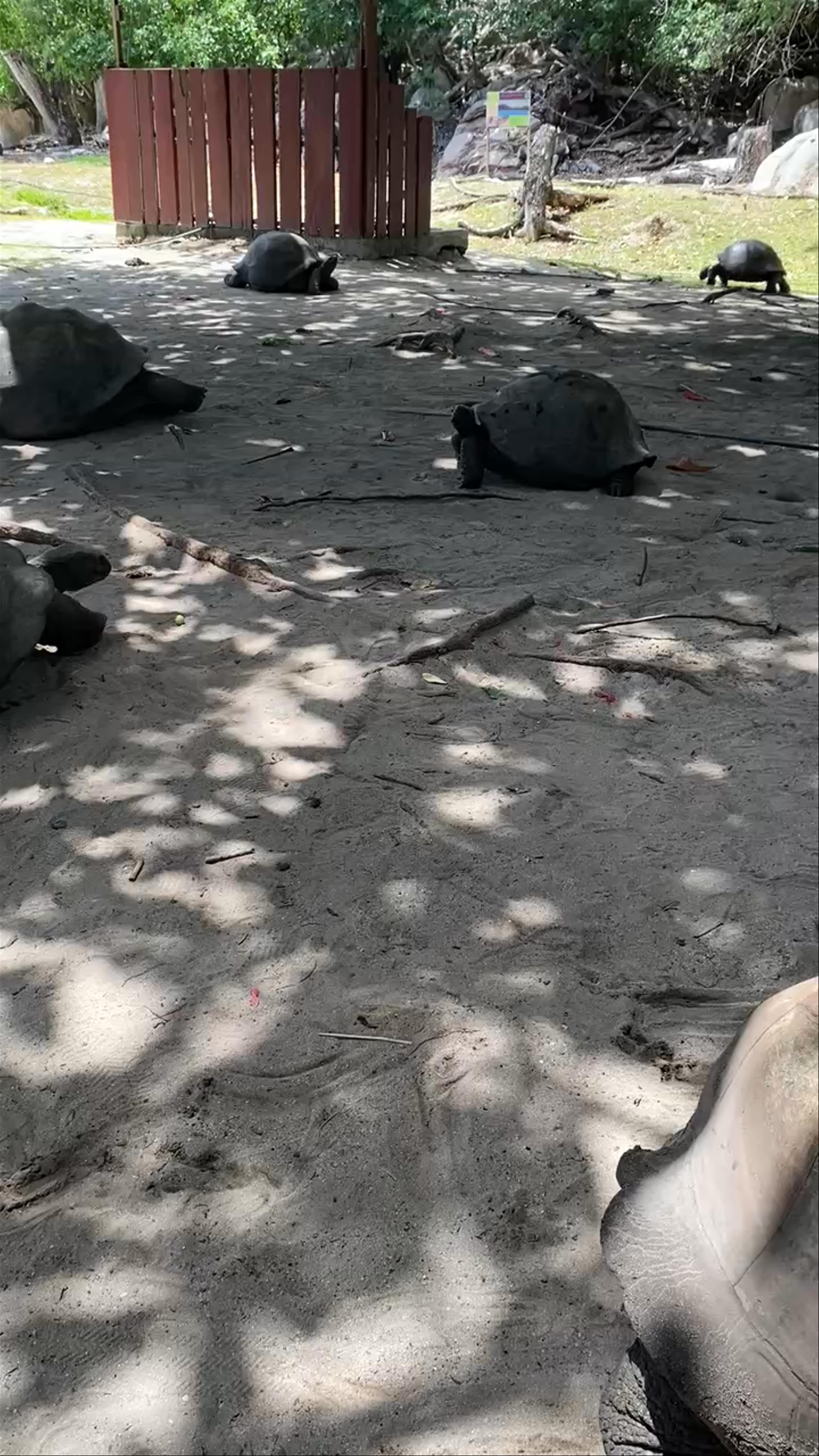 Sanctuaire des tortues