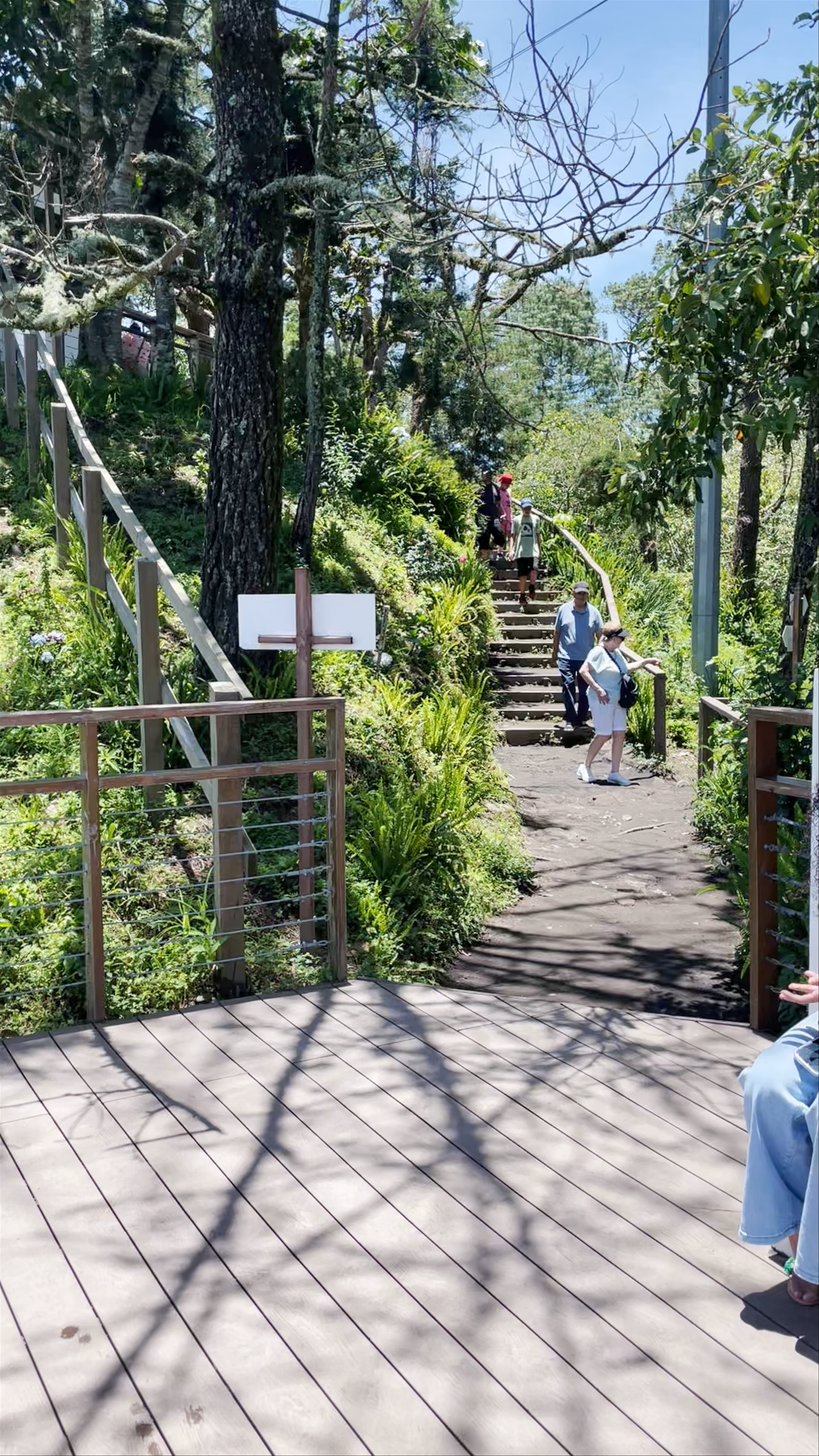 Mirador Los Cartuchos