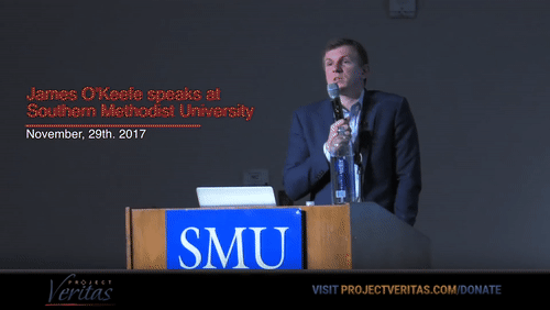 Video Thumbnail Loop