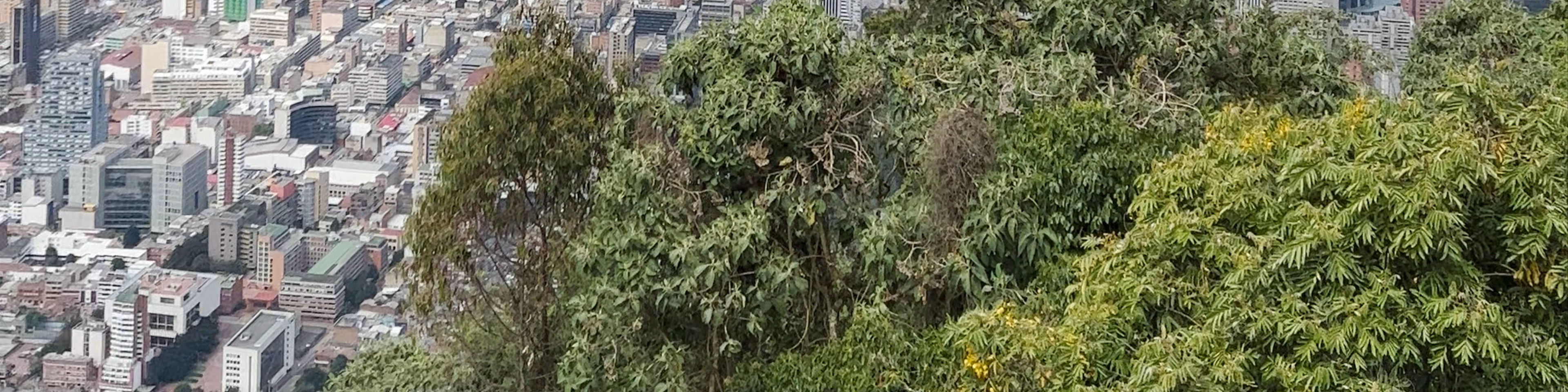 Bogotá