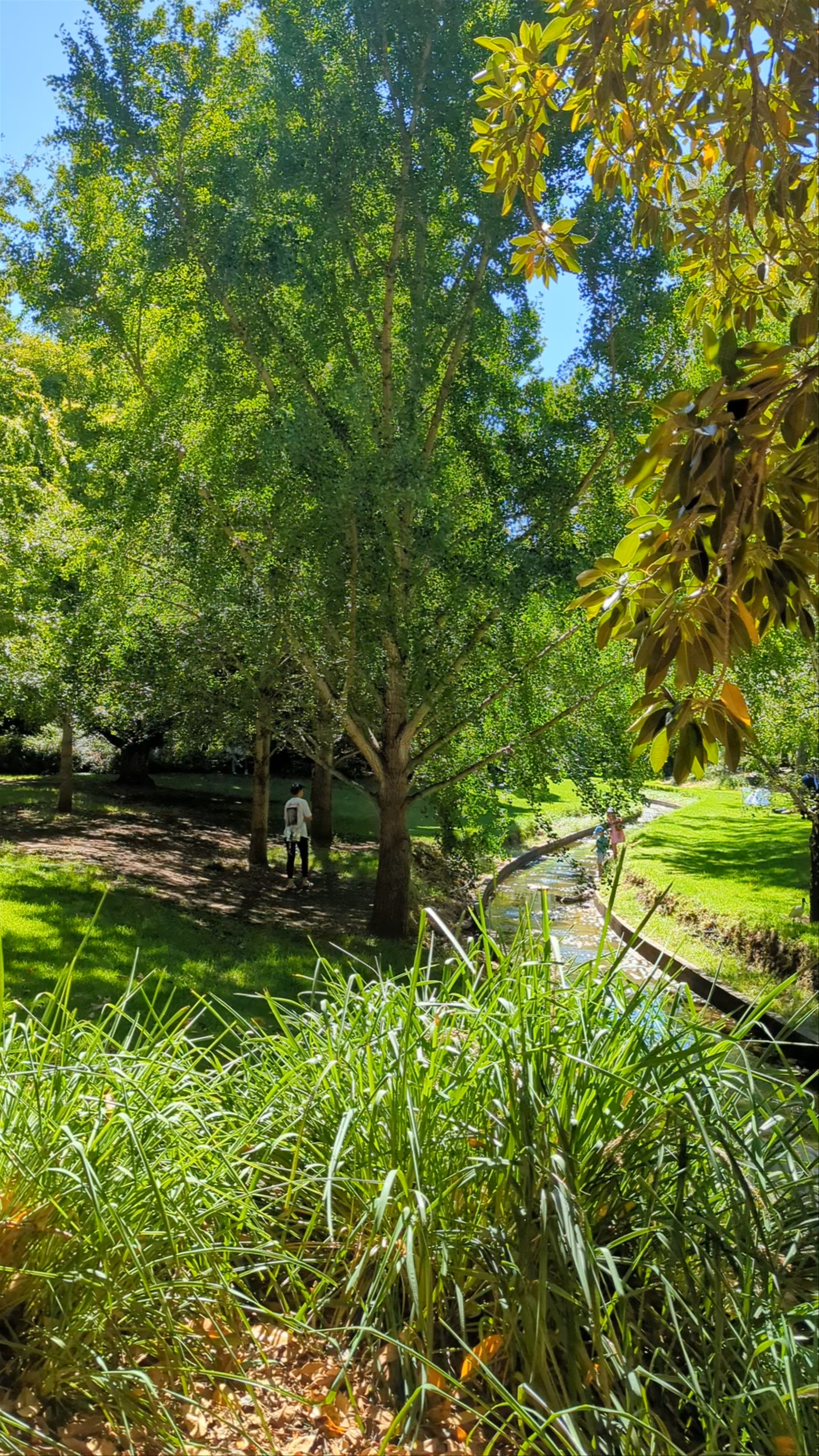 Adelaide Botanic Garden