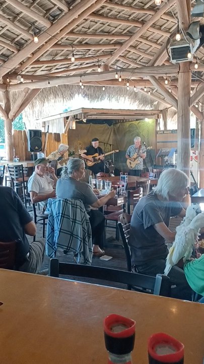 Ballyhoo Grill - Friday happy hour - Seafood Near Me - Gainesville, Florida