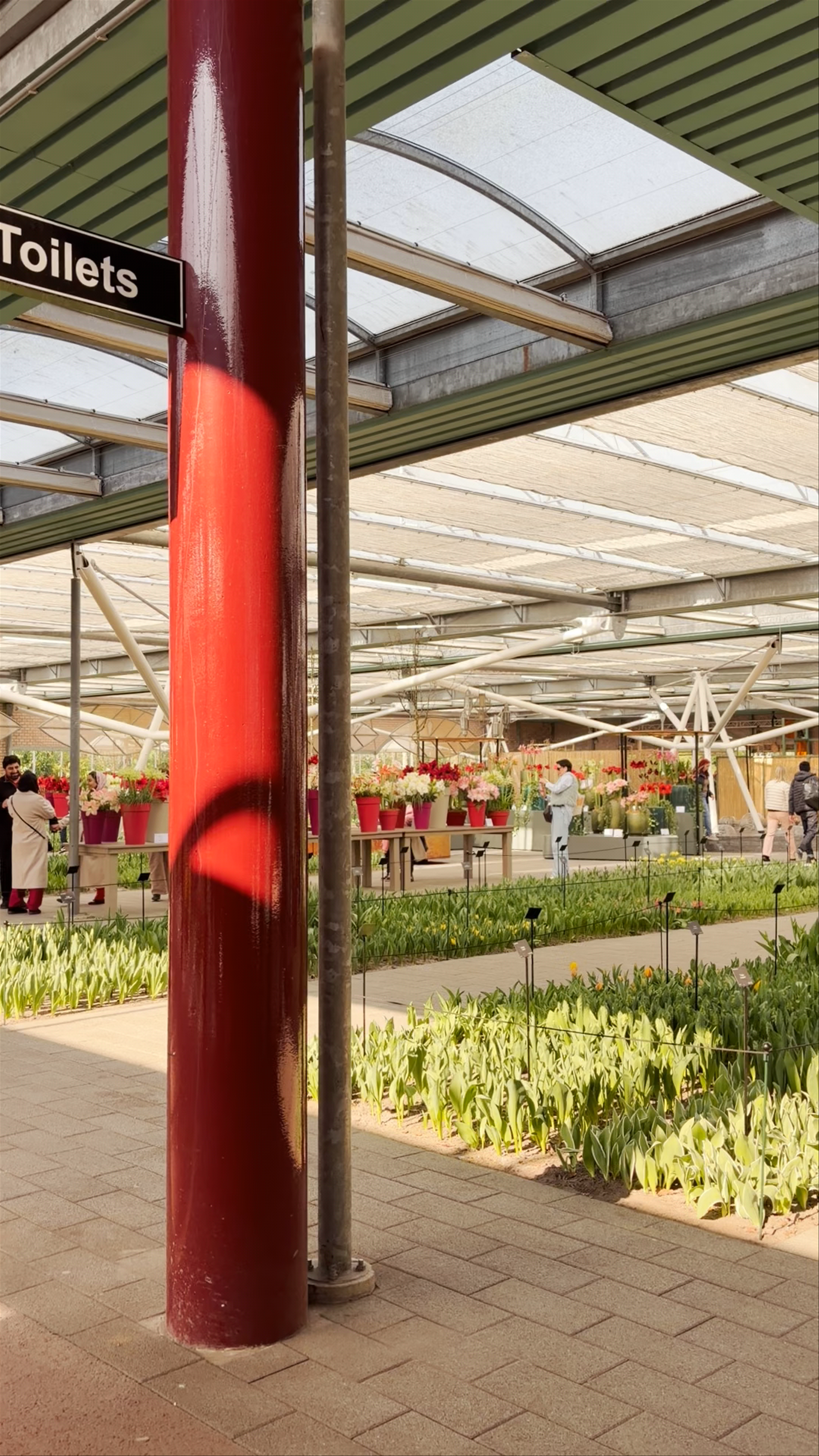 Willem-Alexander paviljoen