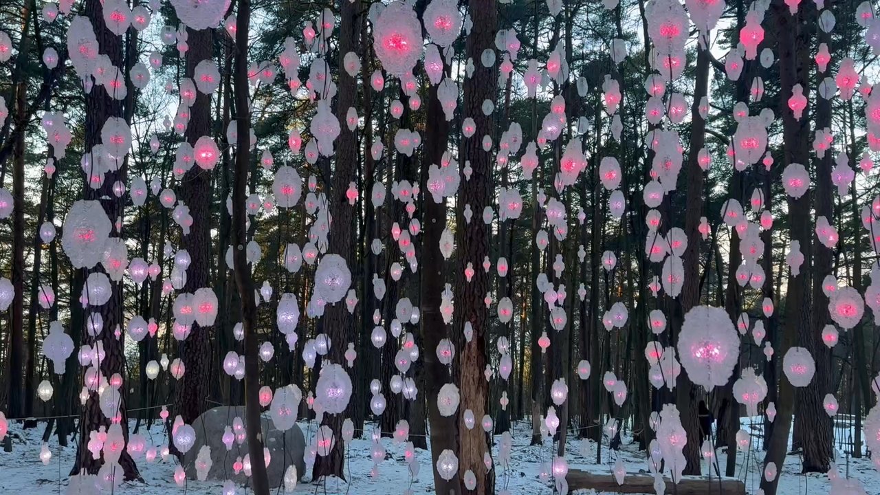 Ekebergparken - Parks Near Me - Oslo, 03