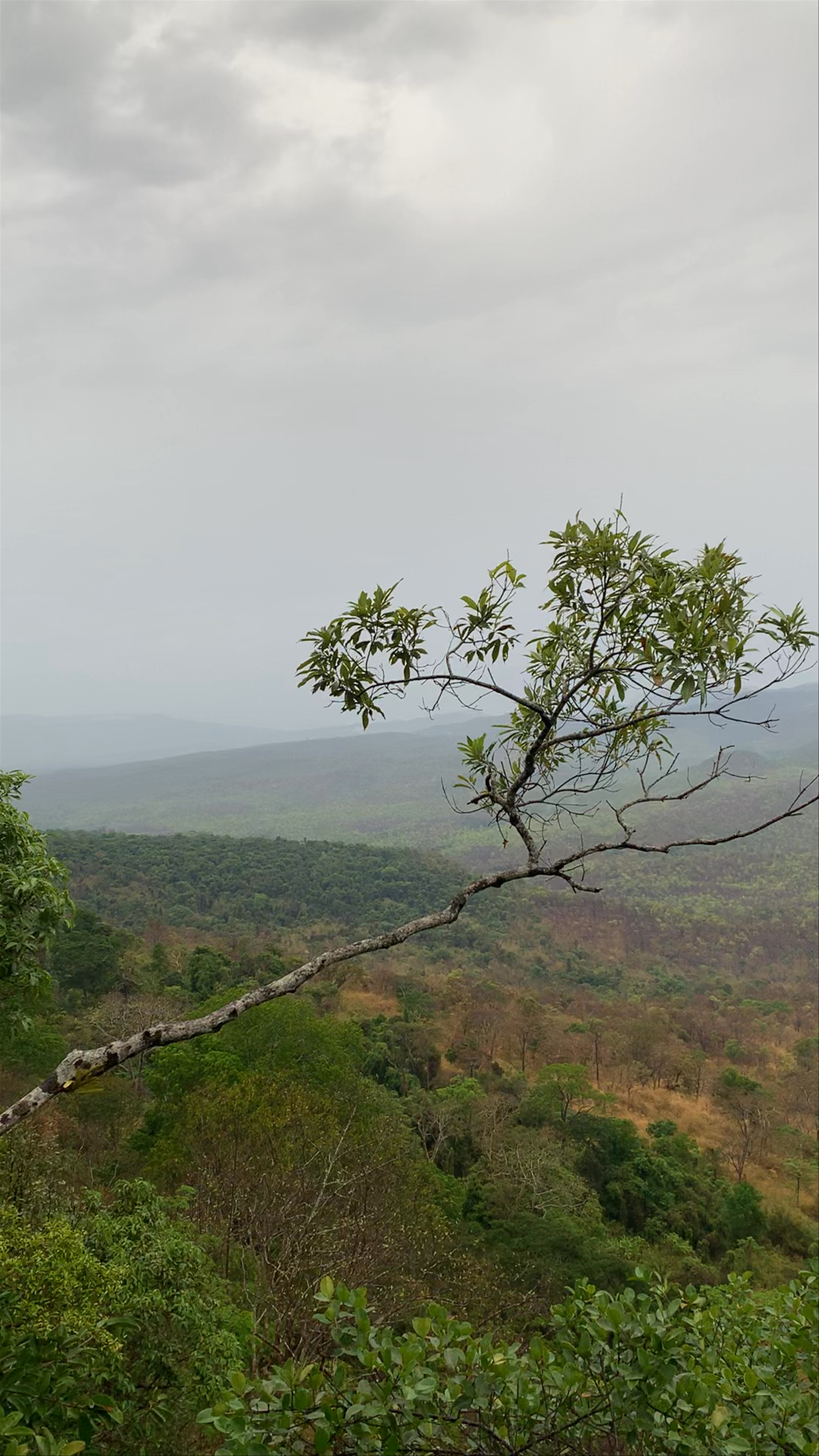 Kirirom National Park