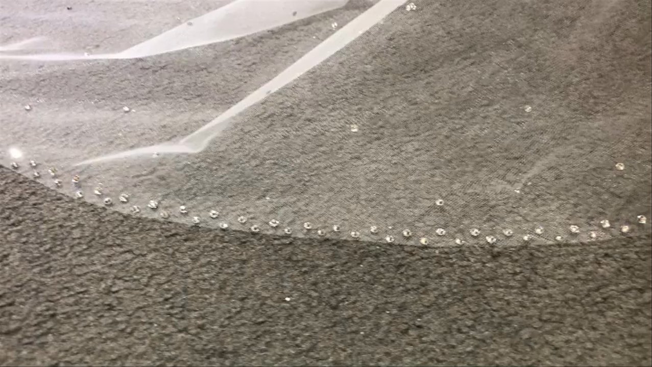 LZ Bridal - Sparkle crystal veil, gorgeous - Makeup Artists Near Me - San Gabriel, California