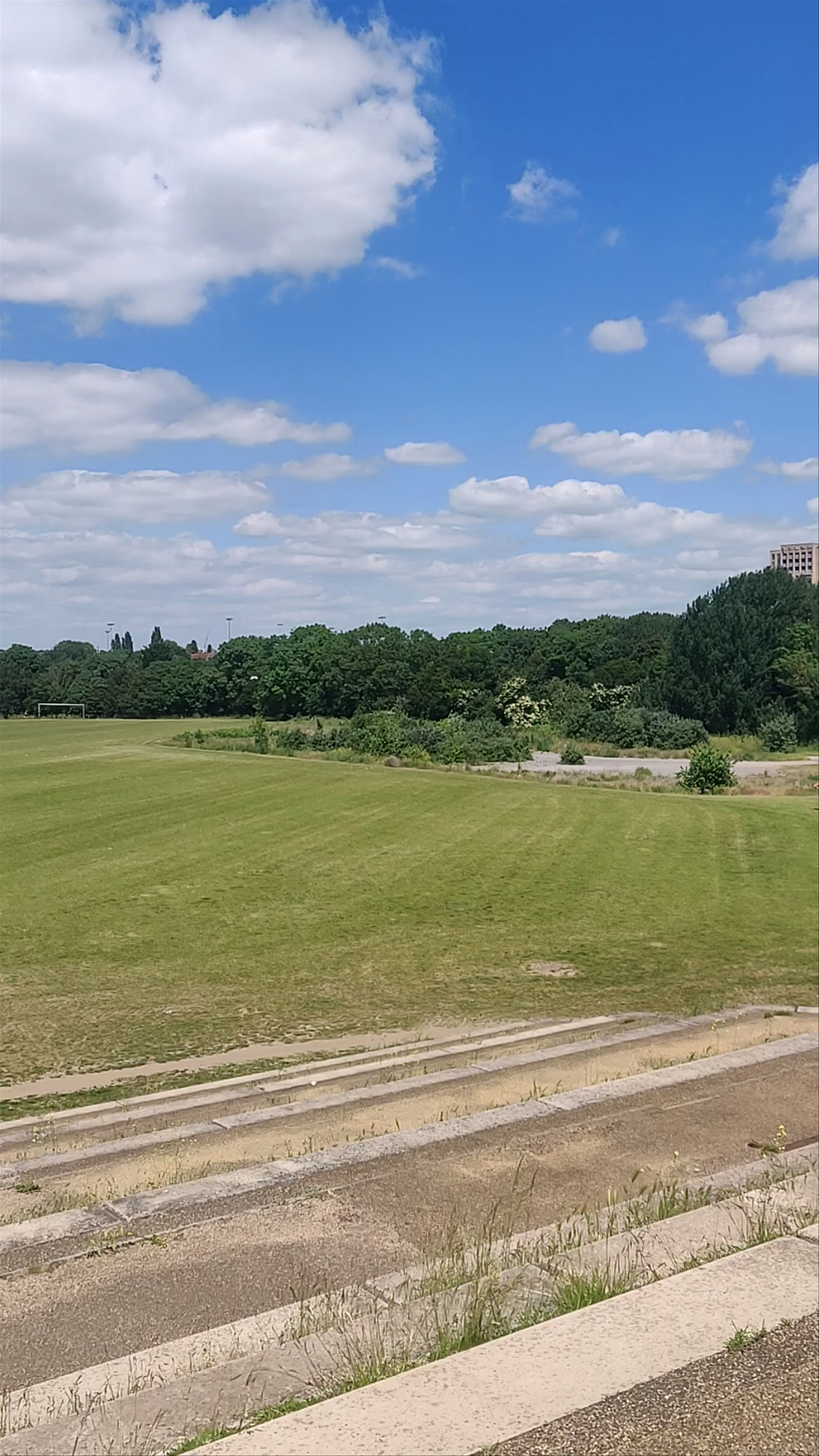 Hackney Marshes Pavilion: Urban Green Space in London