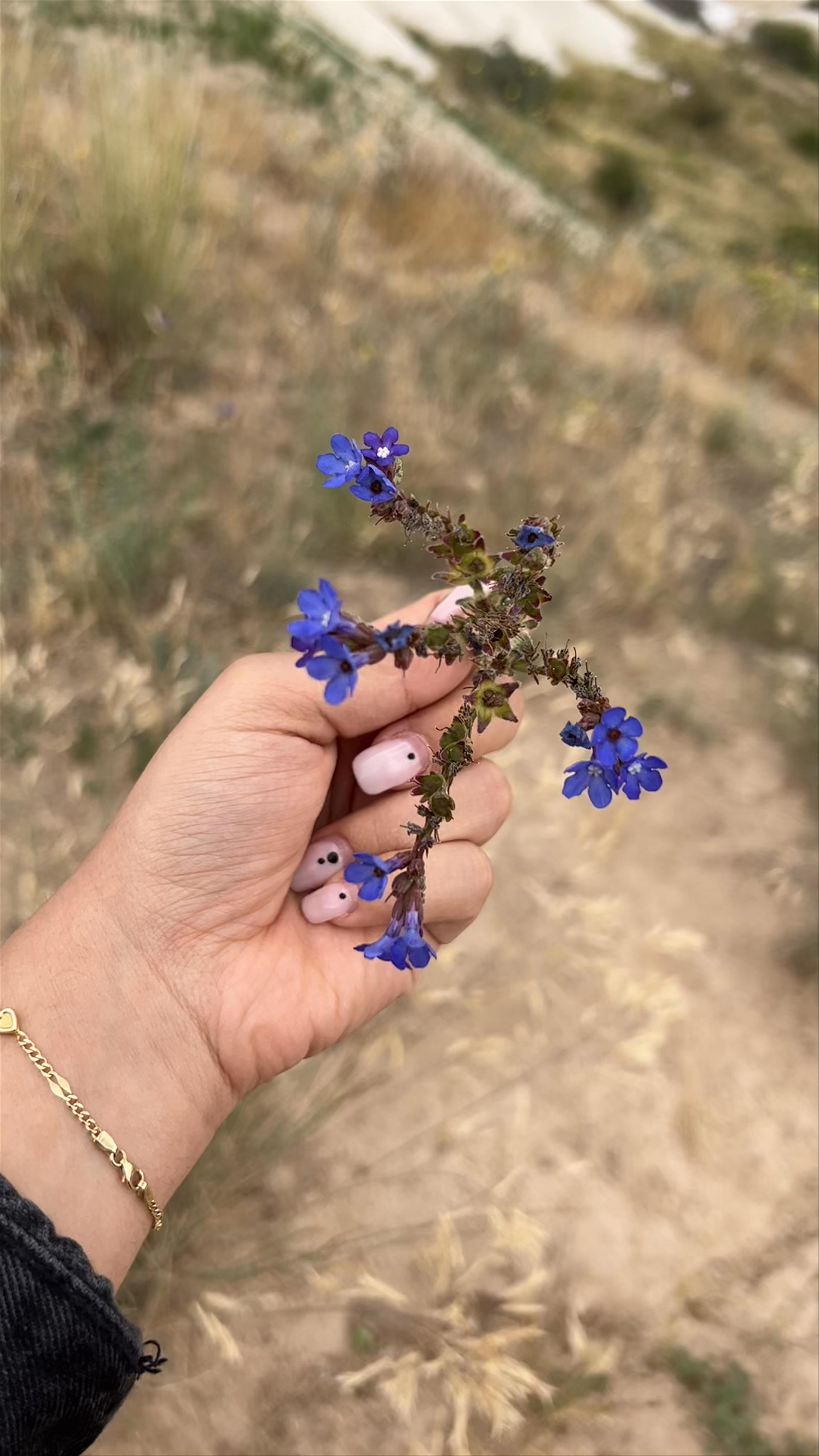 Sunset/Sunrise/Balloons Highest View point in Göreme