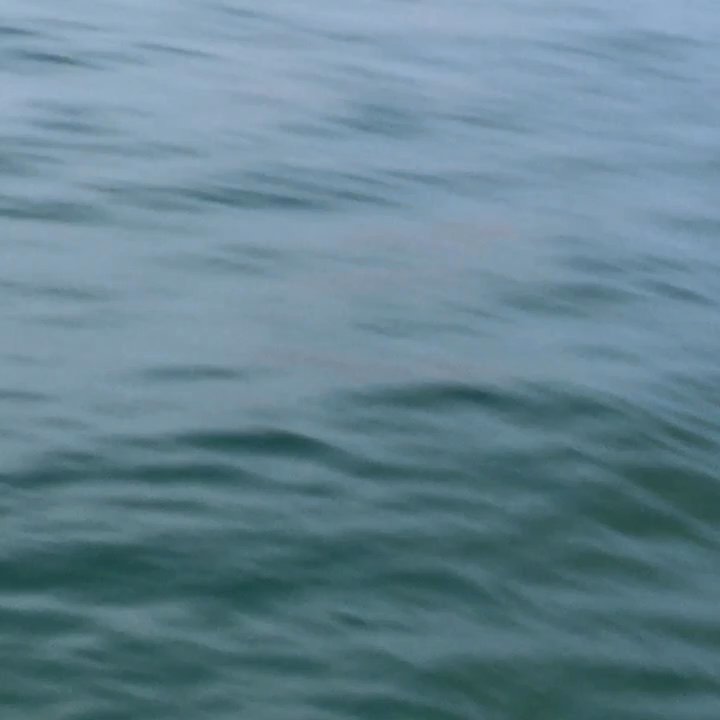Video thumbnail 2 more videos