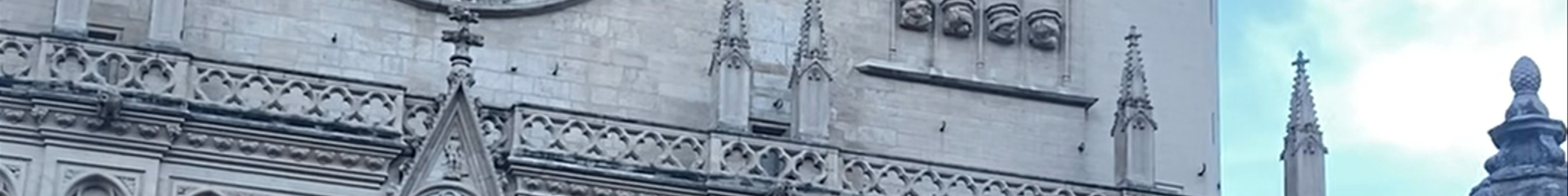 Tours & experiences in Lyon 05