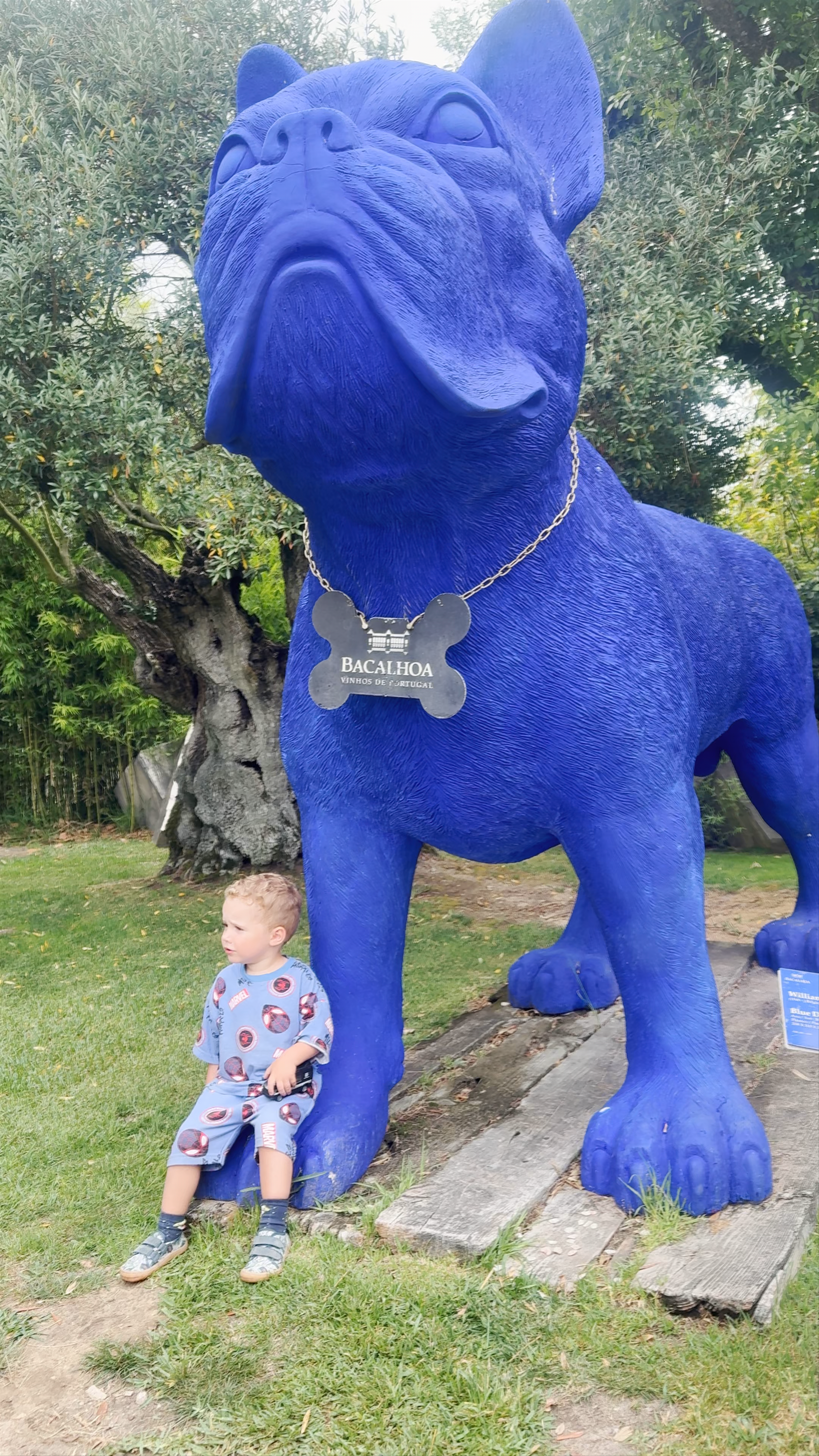 Bacalhôa - Vinhos de Portugal